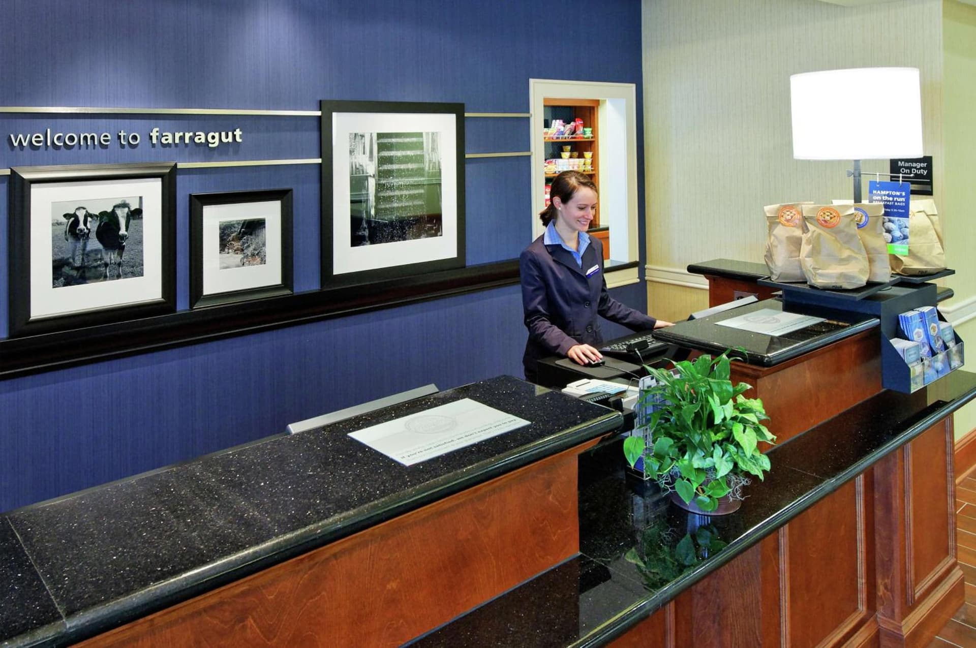 Hampton Inn & Suites Knoxville-Turkey Creek Farragut property views in Knoxville, TN — gallery photo 3