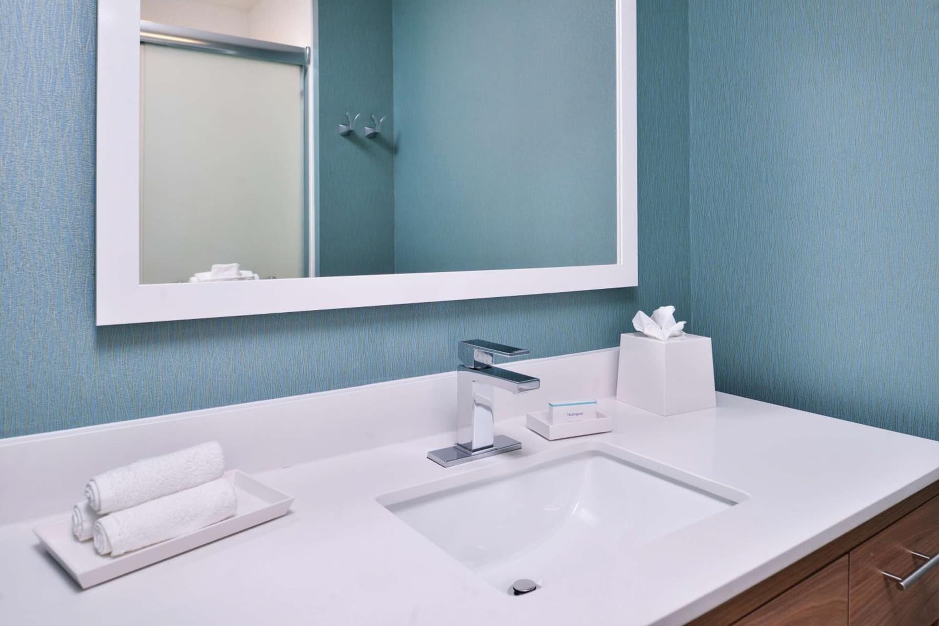 Home2 Suites By Hilton Tampa Downtown Channel District gallery photo in Tampa, FL — image 43