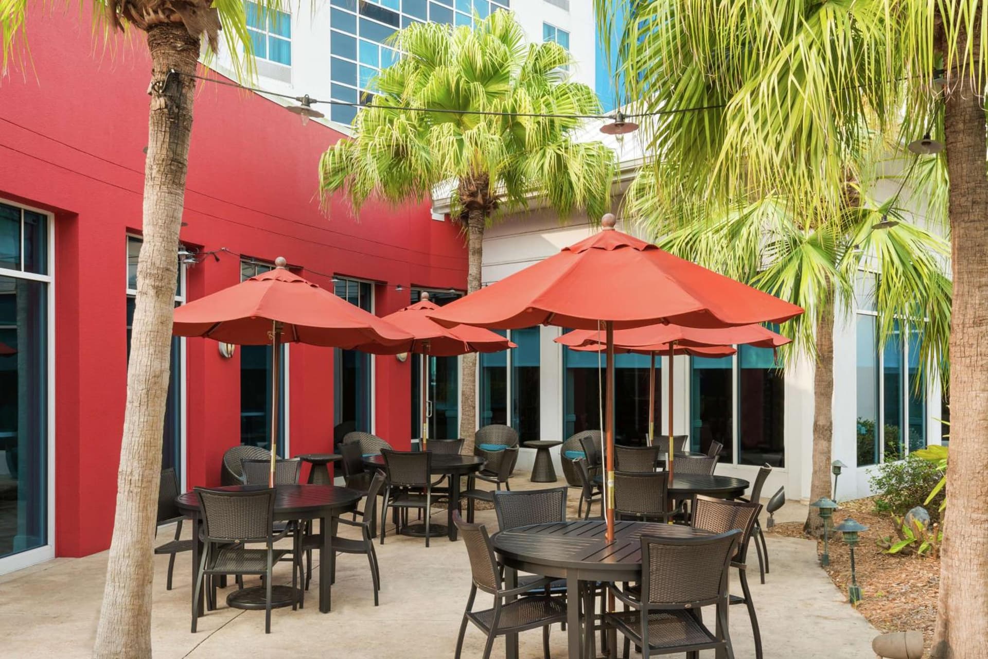 Hilton Garden Inn Tampa Airport Westshore gallery photo in Tampa, FL — image 6