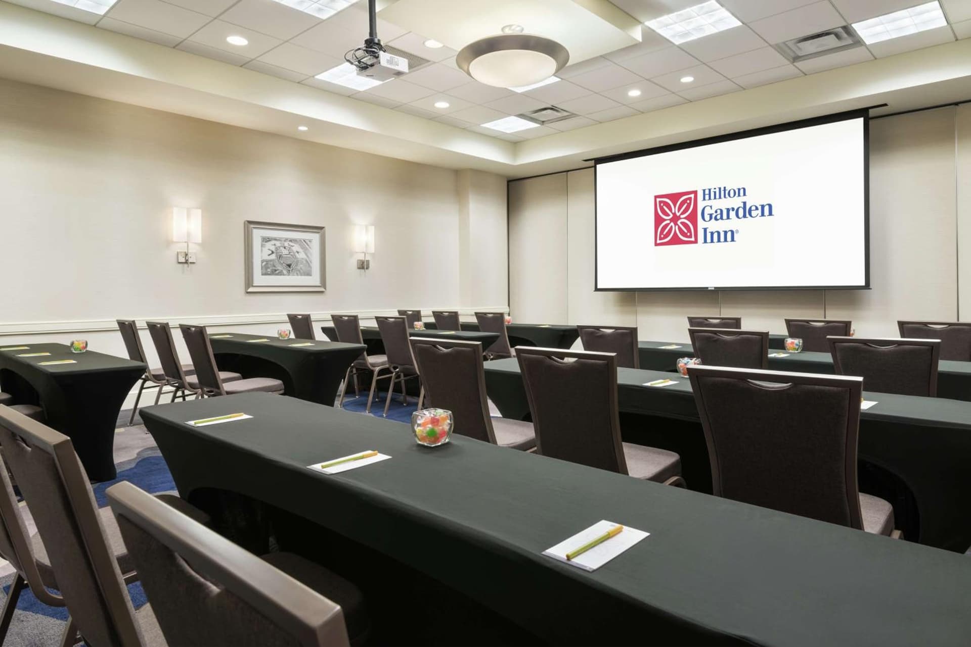 Hilton Garden Inn Tampa Airport Westshore gallery photo in Tampa, FL — image 27
