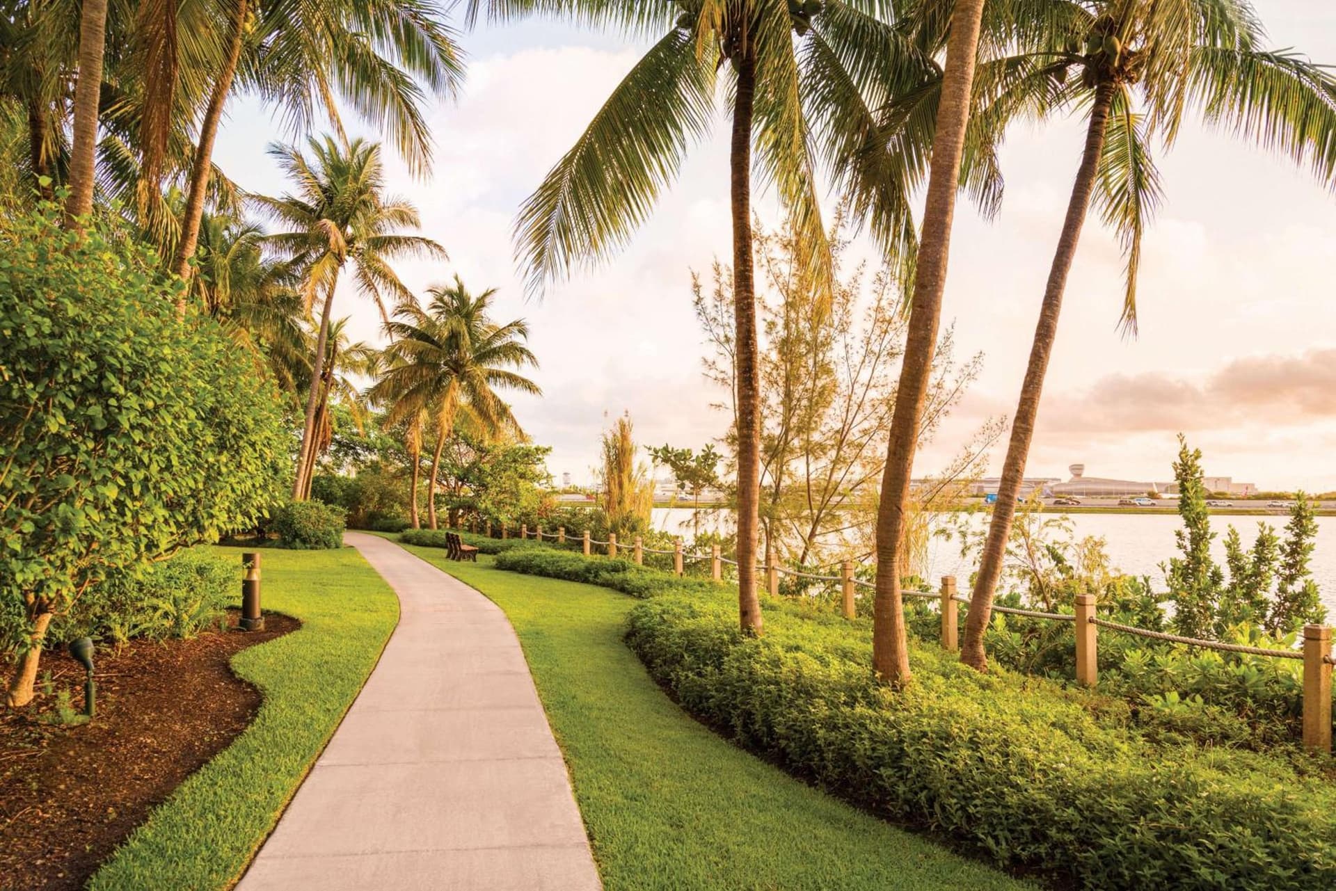 Hilton Miami Airport Blue Lagoon gallery photo in Miami, FL — image 19