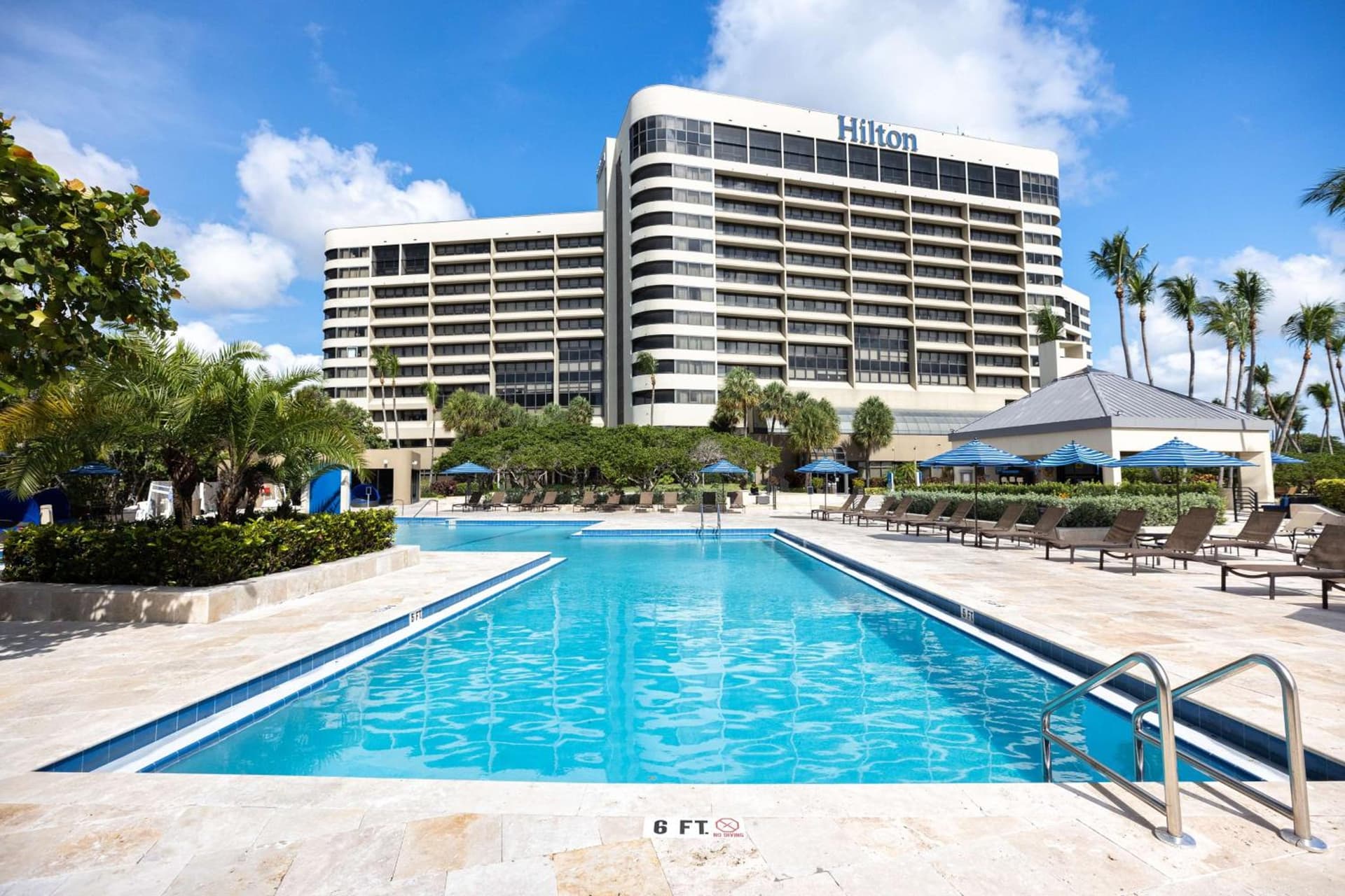 Hilton Miami Airport Blue Lagoon gallery photo in Miami, FL — image 52