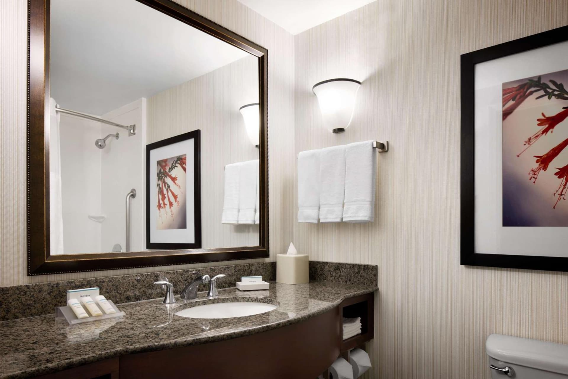 Hilton Garden Inn Denver South Park Meadows Area gallery photo in Centennial, CO — image 18