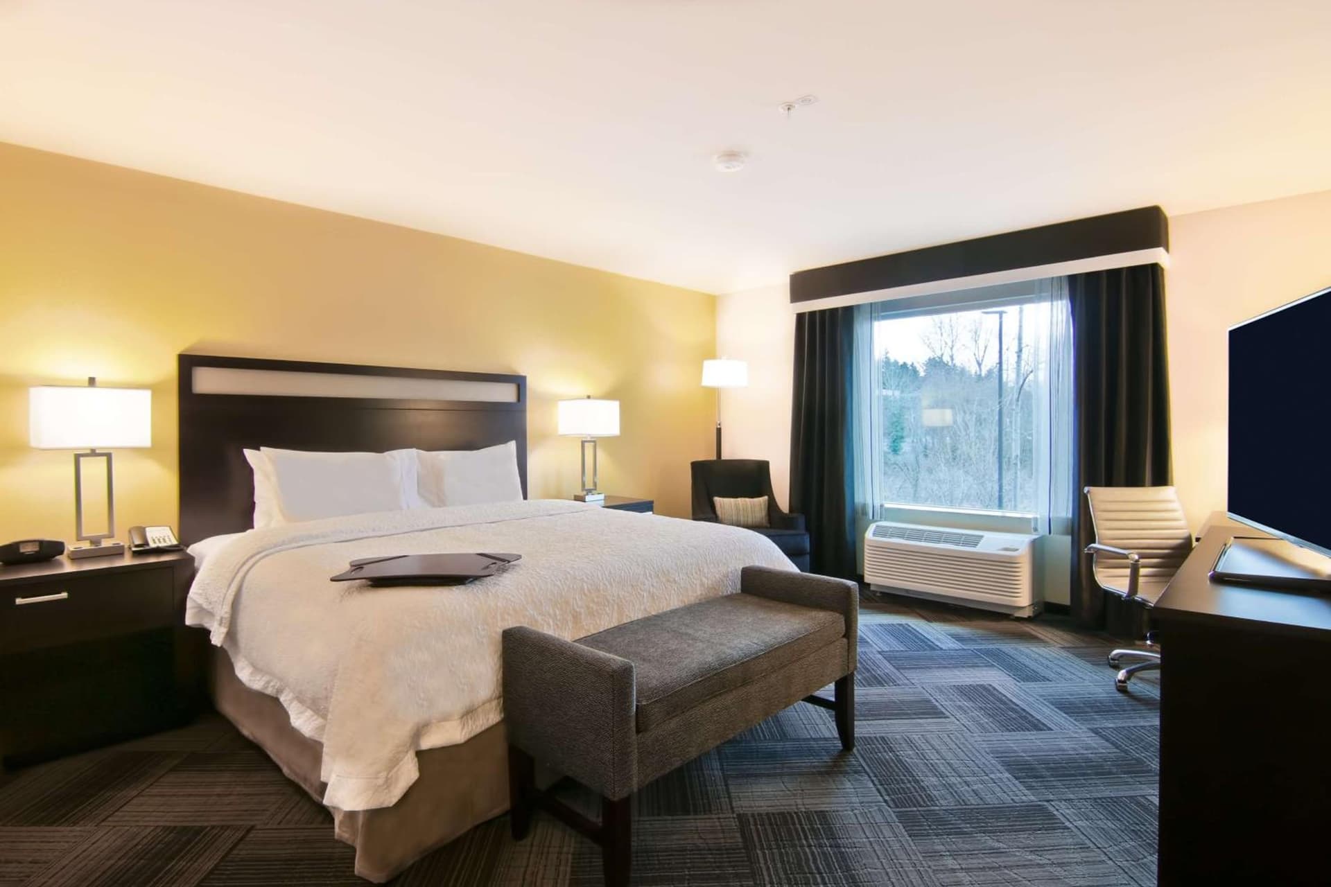 Hampton Inn & Suites Bellevue Downtown/Seattle gallery photo in Bellevue, WA — image 15