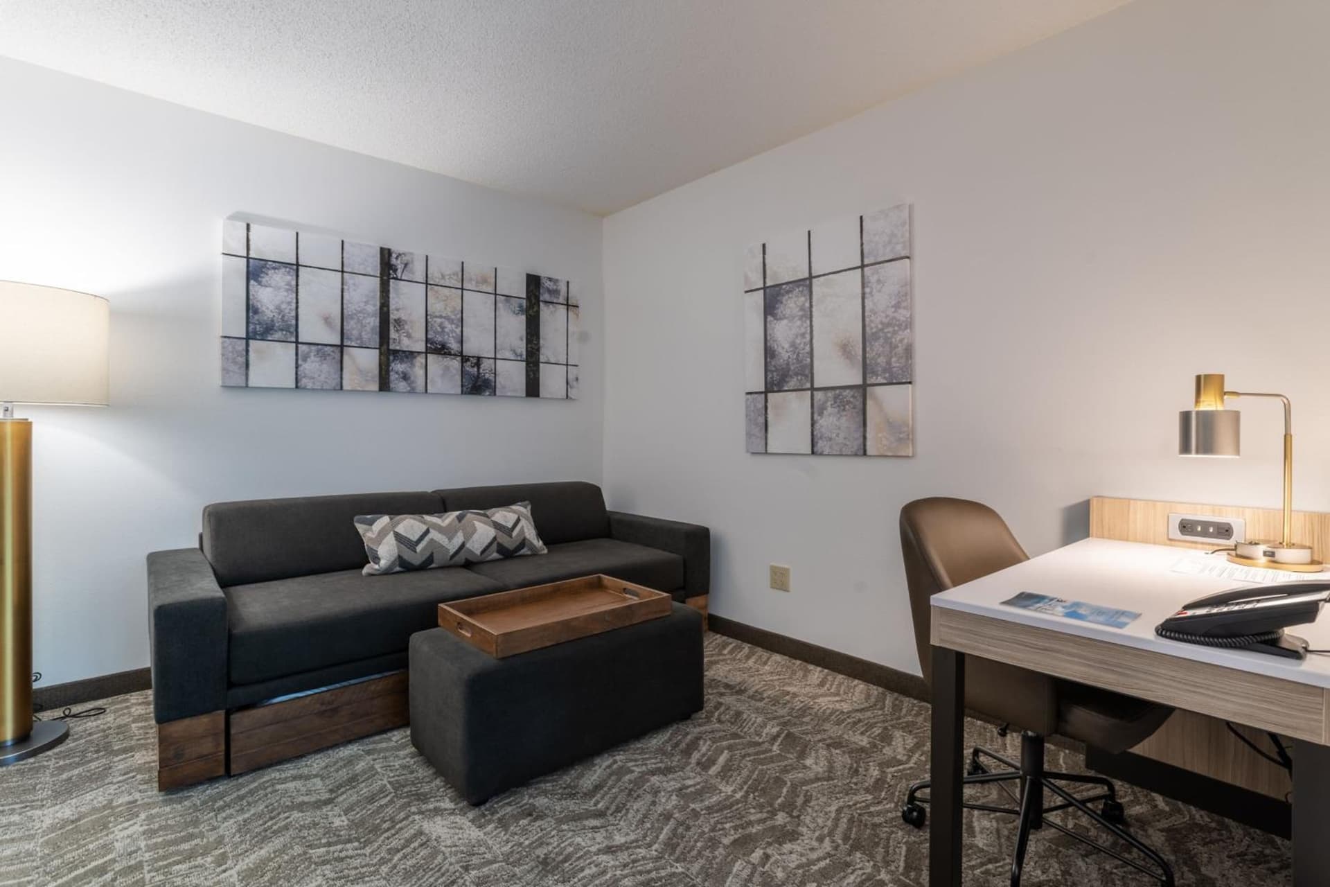SpringHill Suites Gainesville gallery photo in Gainesville, FL — image 90