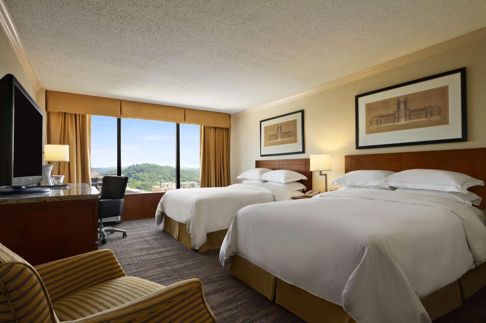 Hilton Knoxville gallery photo in Knoxville, TN — image 18