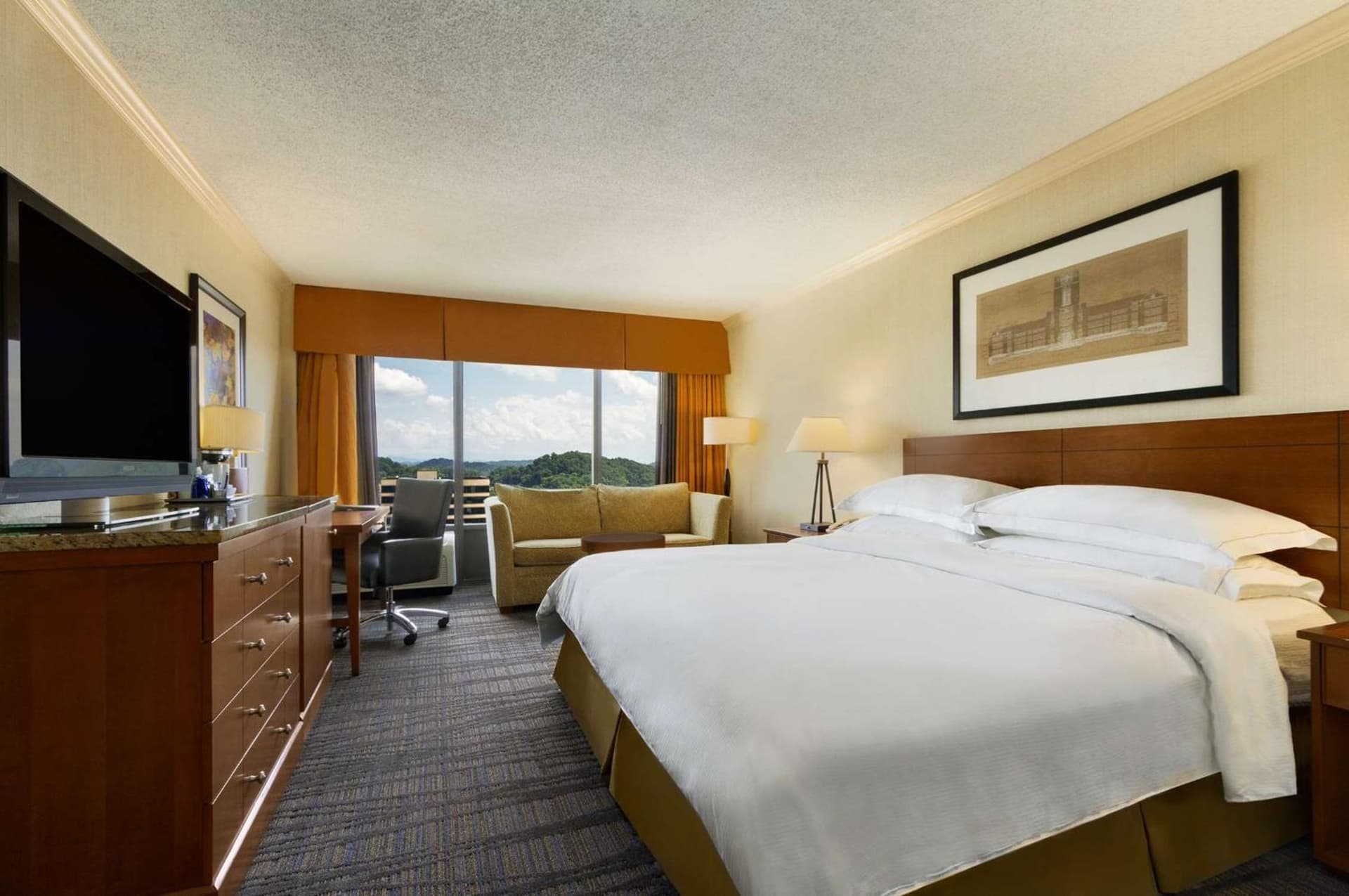 Hilton Knoxville gallery photo in Knoxville, TN — image 36