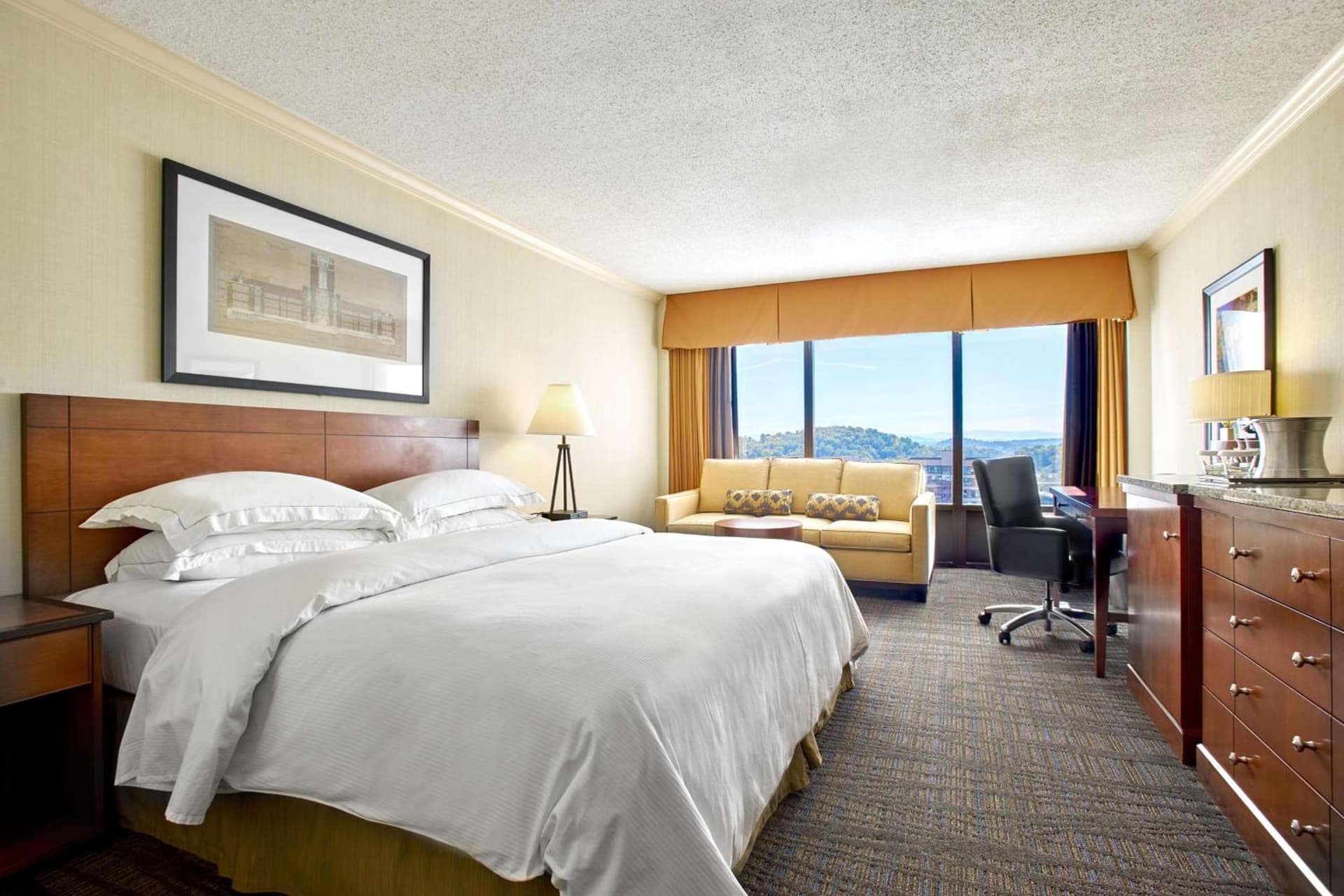 Hilton Knoxville gallery photo in Knoxville, TN — image 7