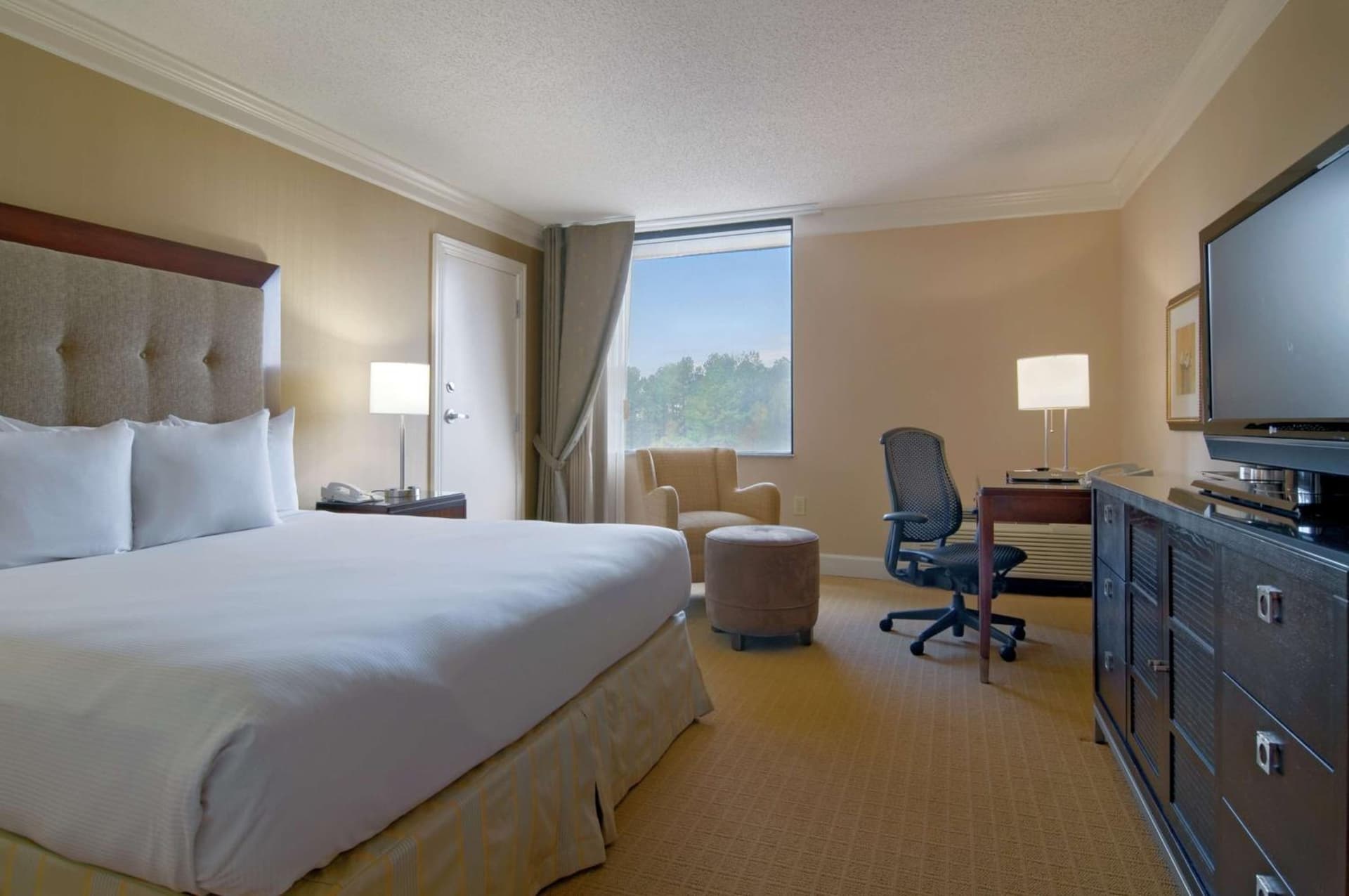 Hilton Raleigh North Hills gallery photo in Raleigh, NC — image 44