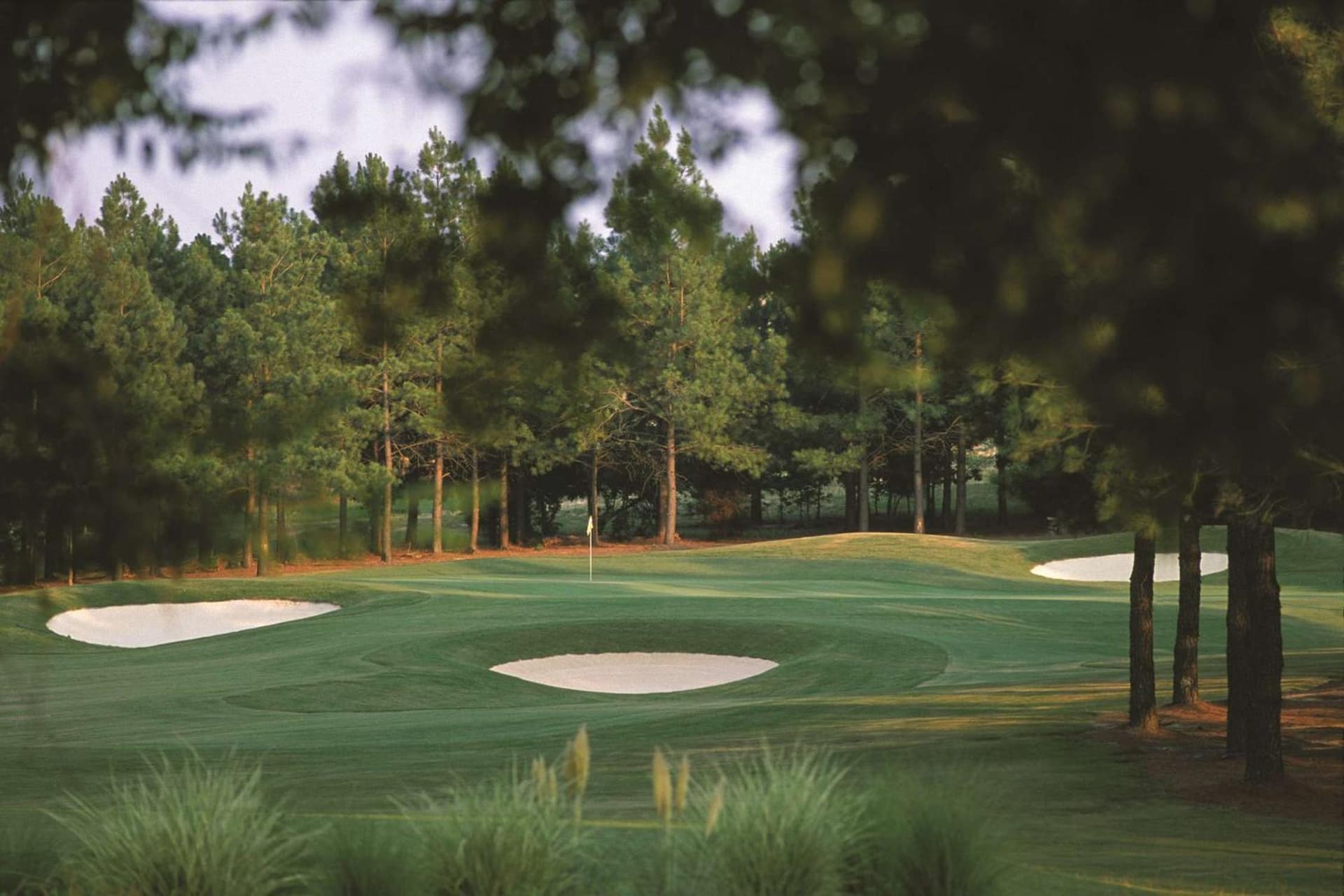 Hilton Raleigh North Hills gallery photo in Raleigh, NC — image 32