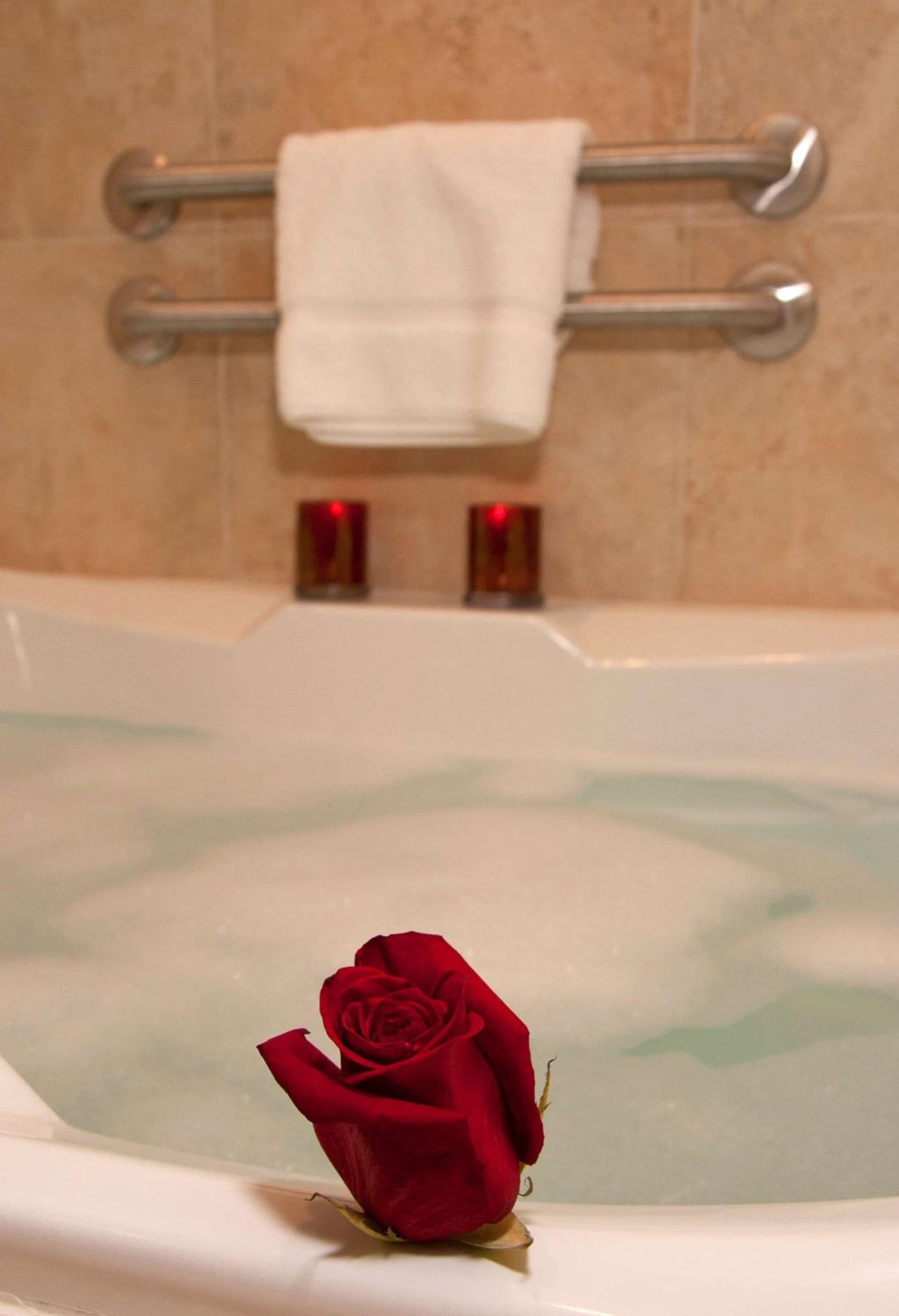 Hilton Garden Inn Milwaukee Airport gallery photo in Milwaukee, WI — image 28