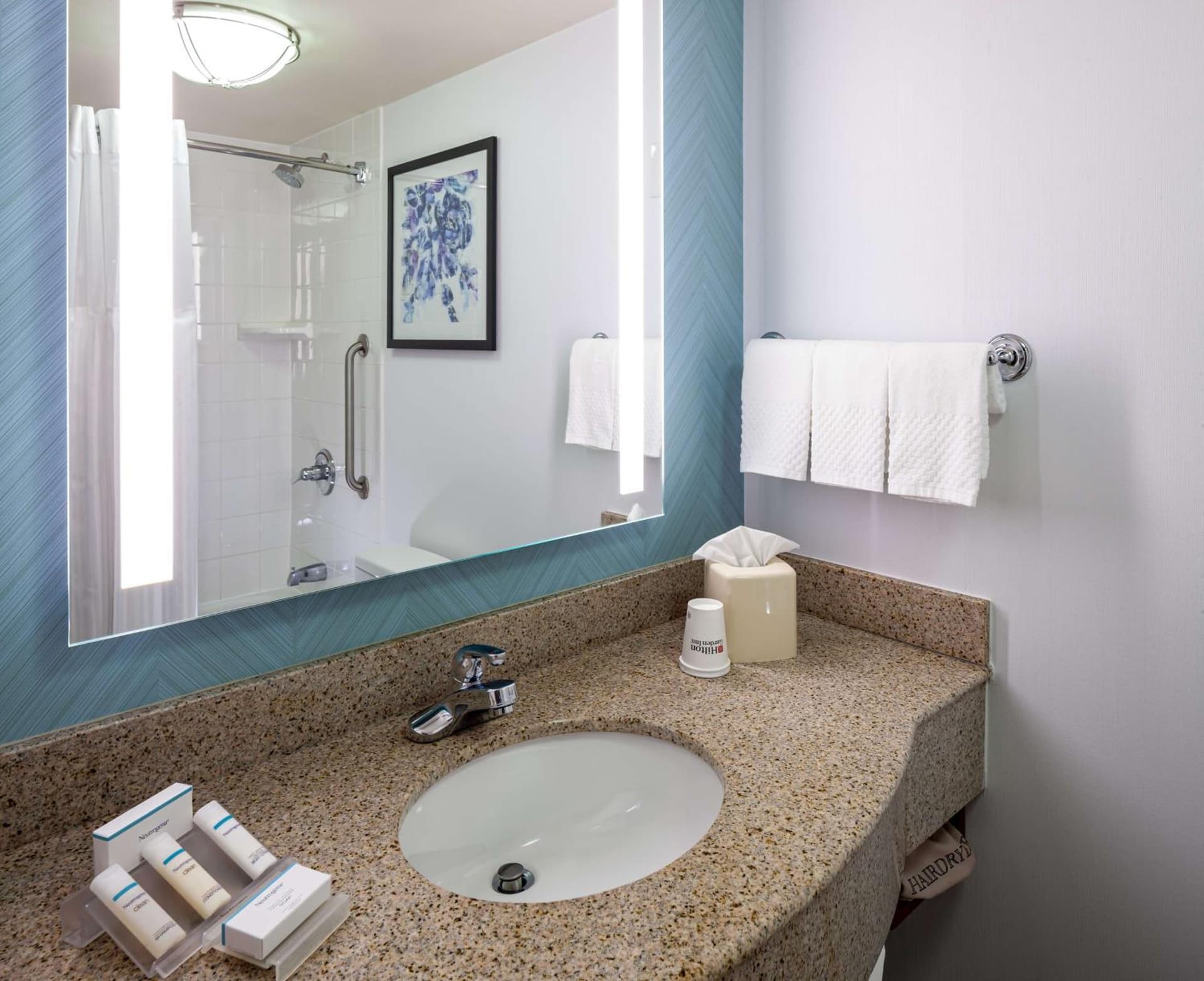 Hilton Garden Inn Chicago O'Hare Airport gallery photo in Des Plaines, IL — image 30