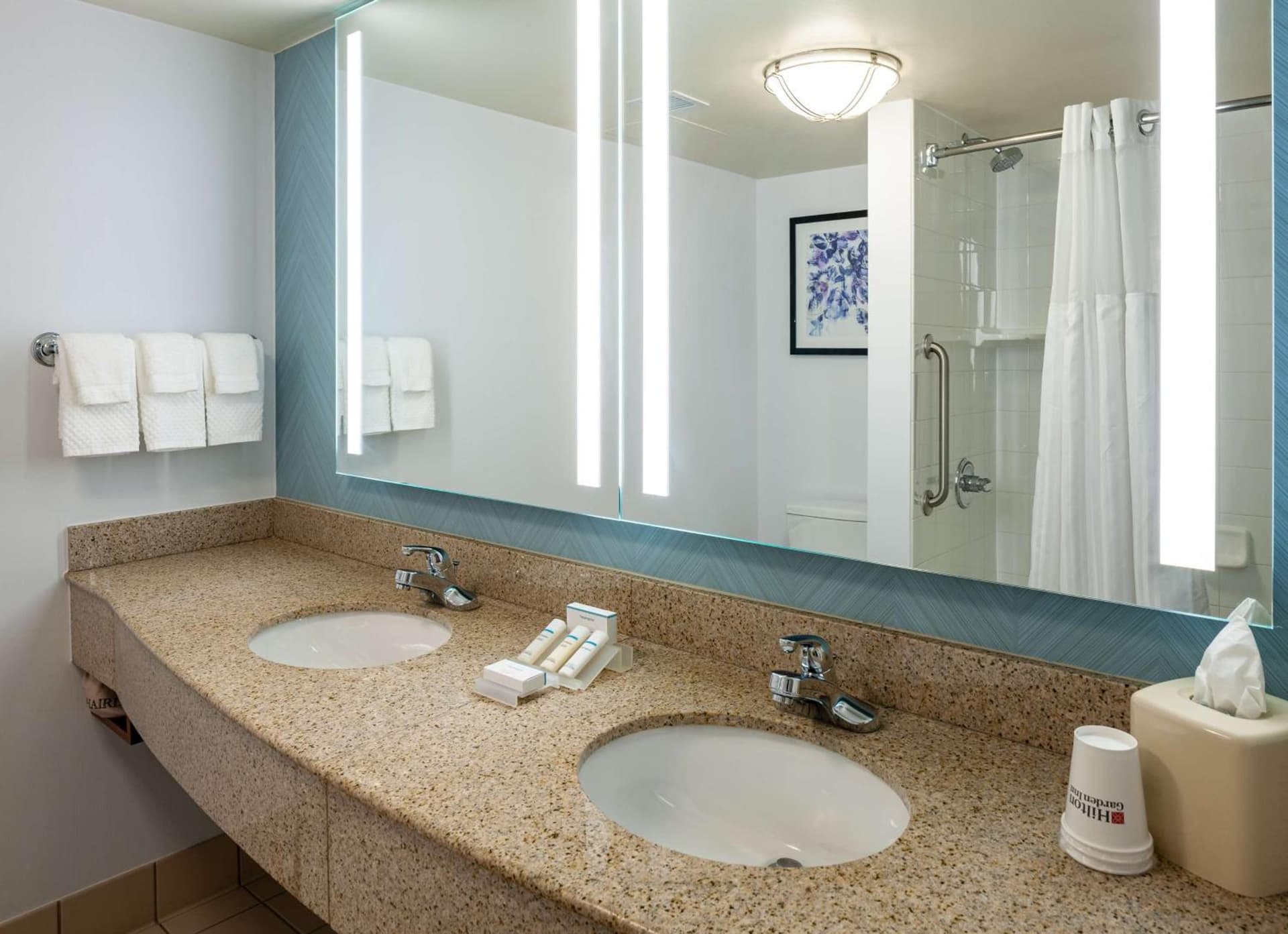 Hilton Garden Inn Chicago O'Hare Airport gallery photo in Des Plaines, IL — image 12