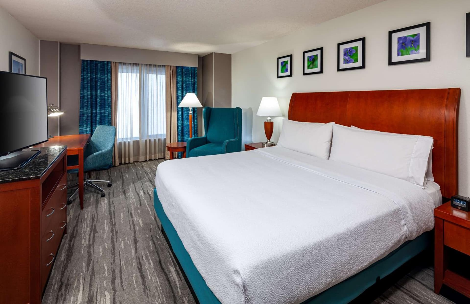 Hilton Garden Inn Chicago O'Hare Airport gallery photo in Des Plaines, IL — image 8