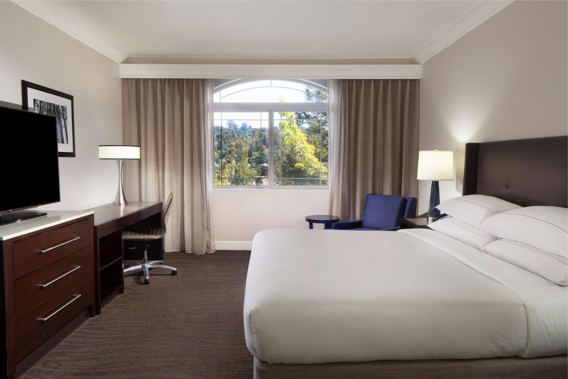 Hilton Santa Cruz Scotts Valley gallery photo in Santa Cruz, CA — image 49