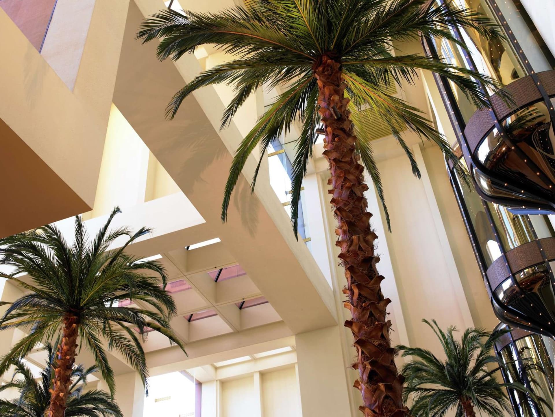 Hilton Orange County/Costa Mesa gallery photo in Costa Mesa, CA — image 51
