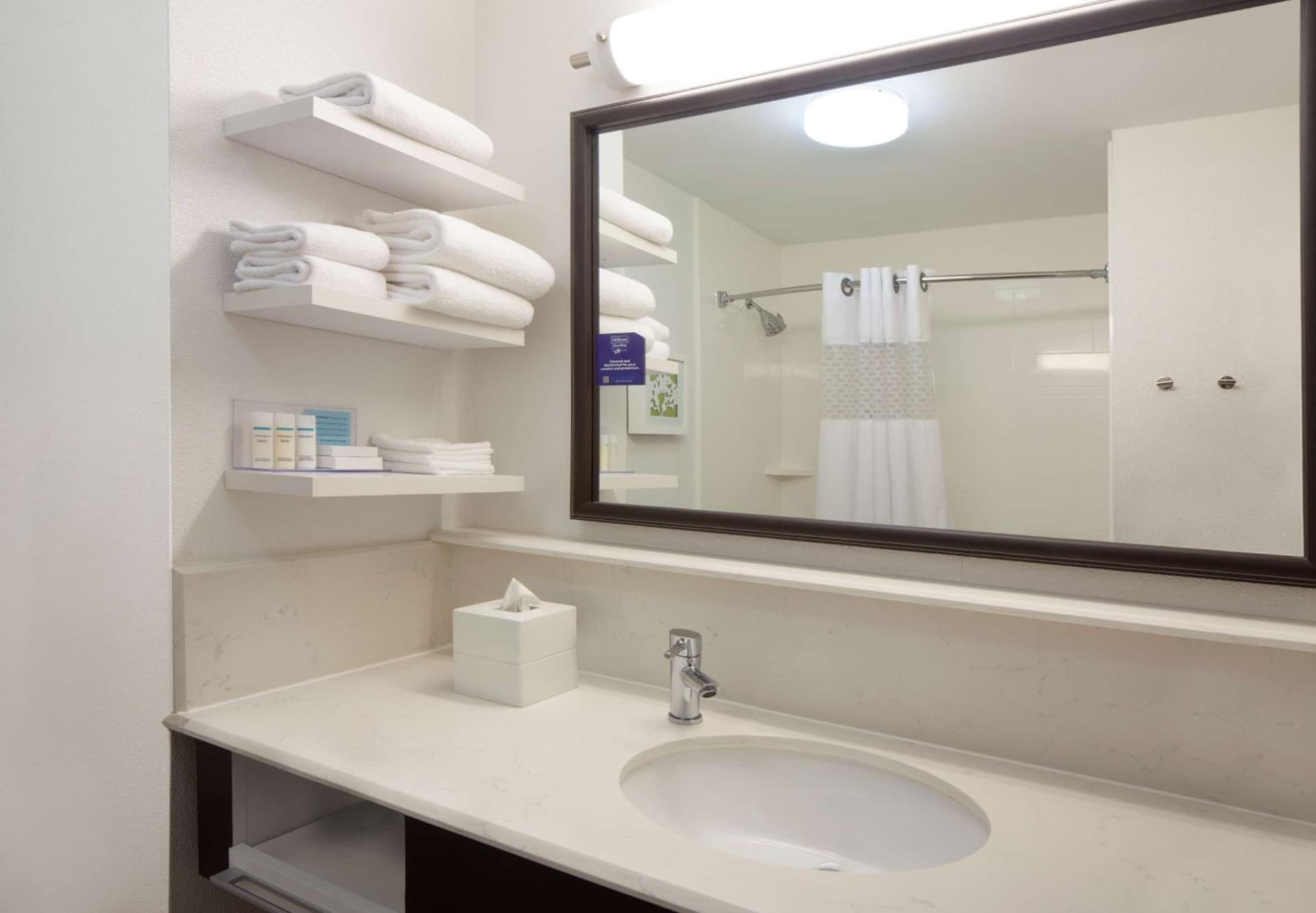 Hampton Inn Lawrenceville gallery photo in Lawrenceville, GA — image 11