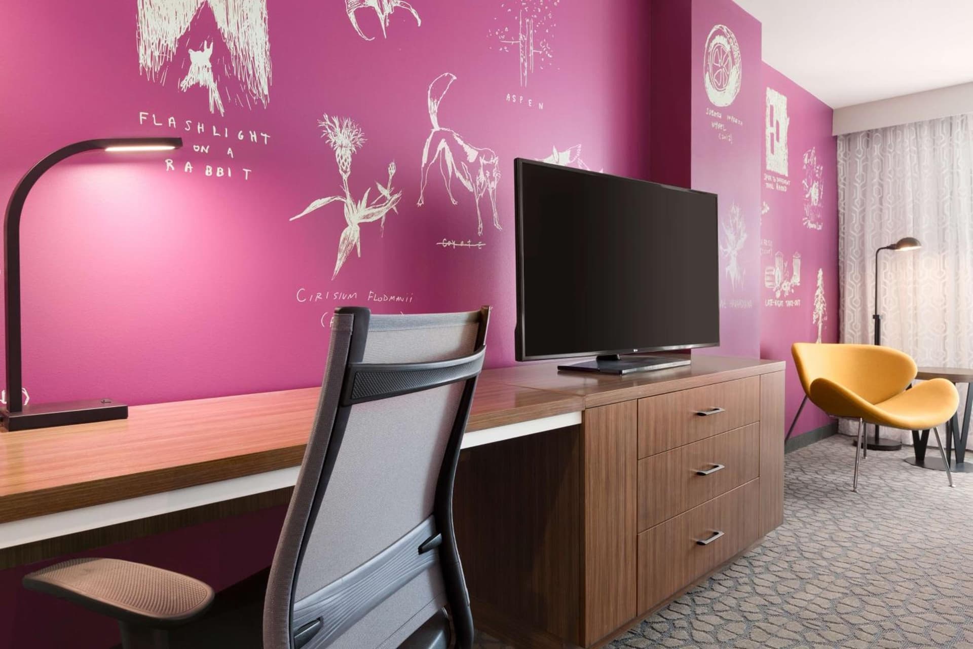 Hilton Garden Inn Boulder gallery photo in Boulder, CO — image 25