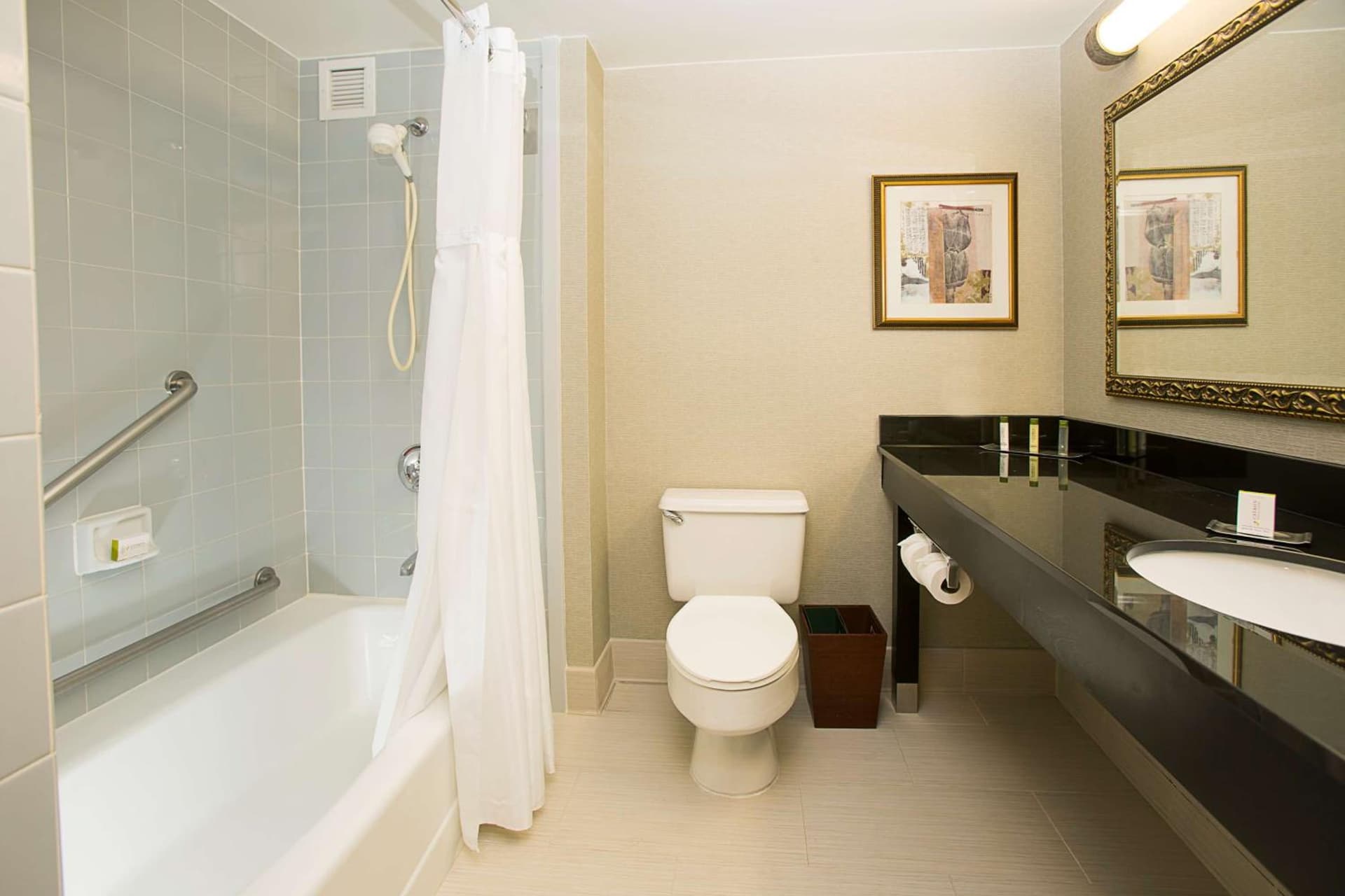 DoubleTree by Hilton Hotel Detroit Novi gallery photo in Novi, MI — image 19
