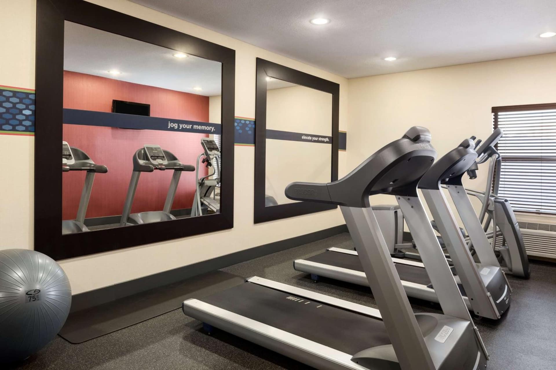 Hampton Inn Minneapolis St. Paul-Woodbury gallery photo in Woodbury, MN — image 10