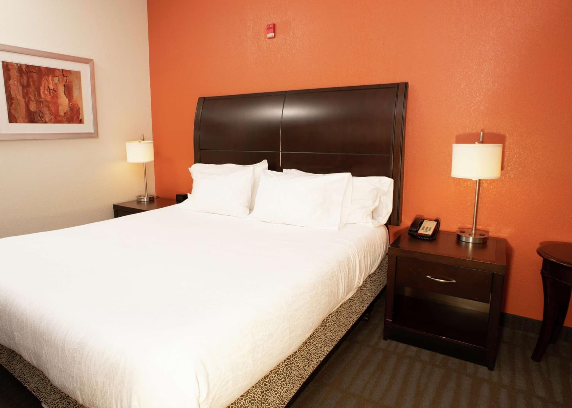 Hilton Garden Inn Springfield, IL gallery photo in Springfield, IL — image 29