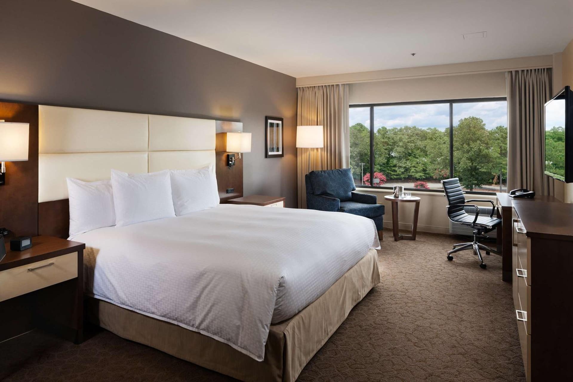 Doubletree by Hilton Hotel Williamsburg gallery photo in Williamsburg, VA — image 12