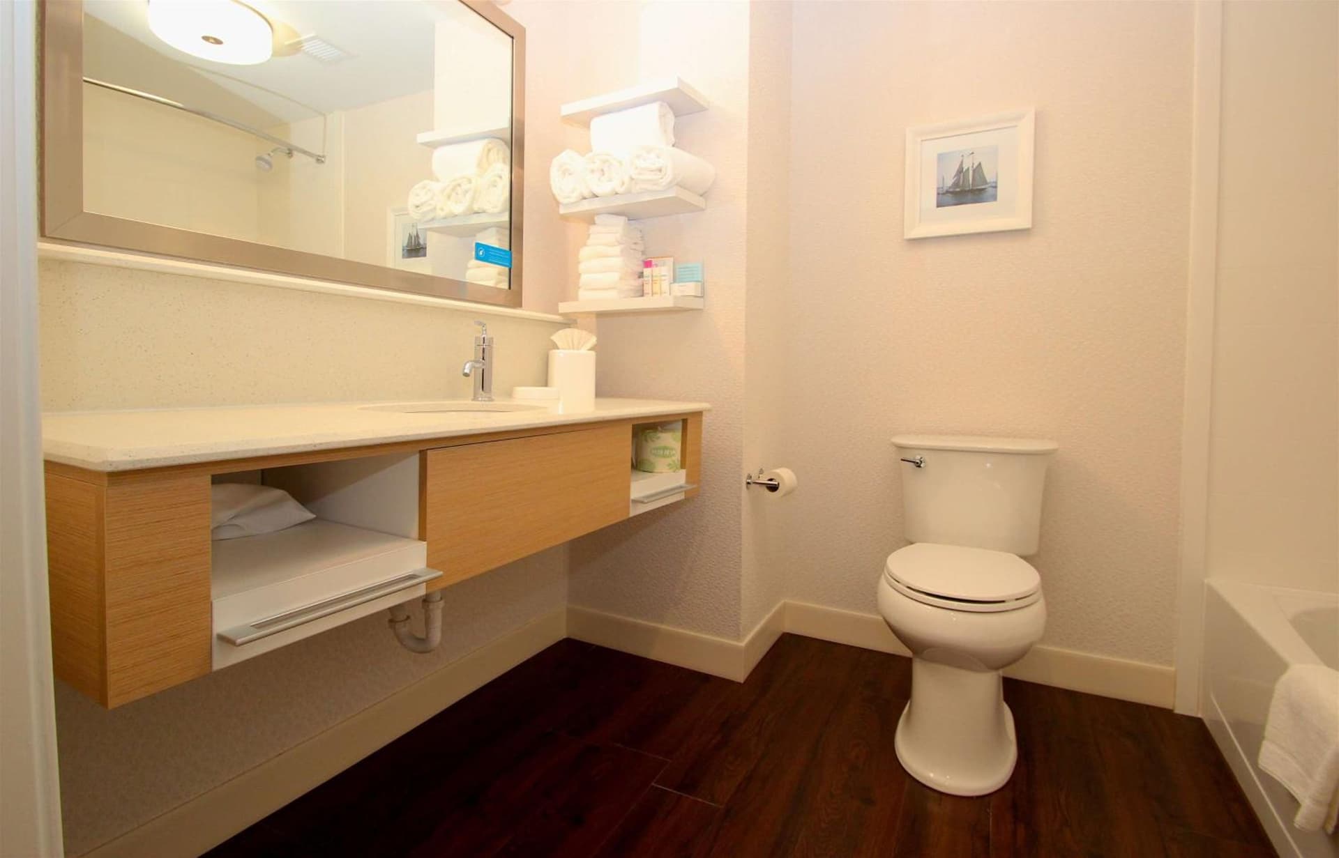 Hampton Inn- Suffolk property views in Suffolk, VA — gallery photo 3