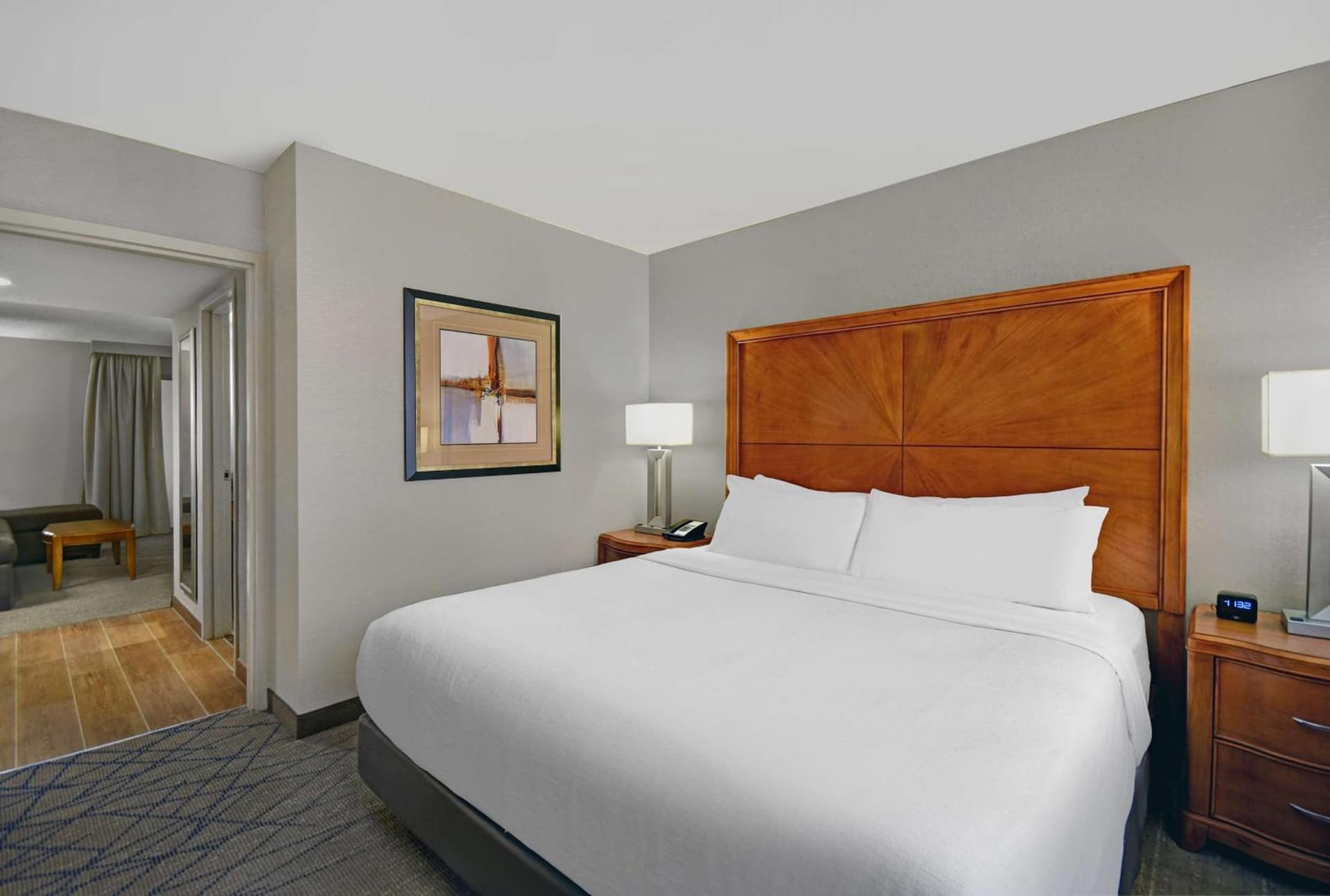 Embassy Suites by Hilton Detroit - Livonia/Novi gallery photo in Livonia, MI — image 22
