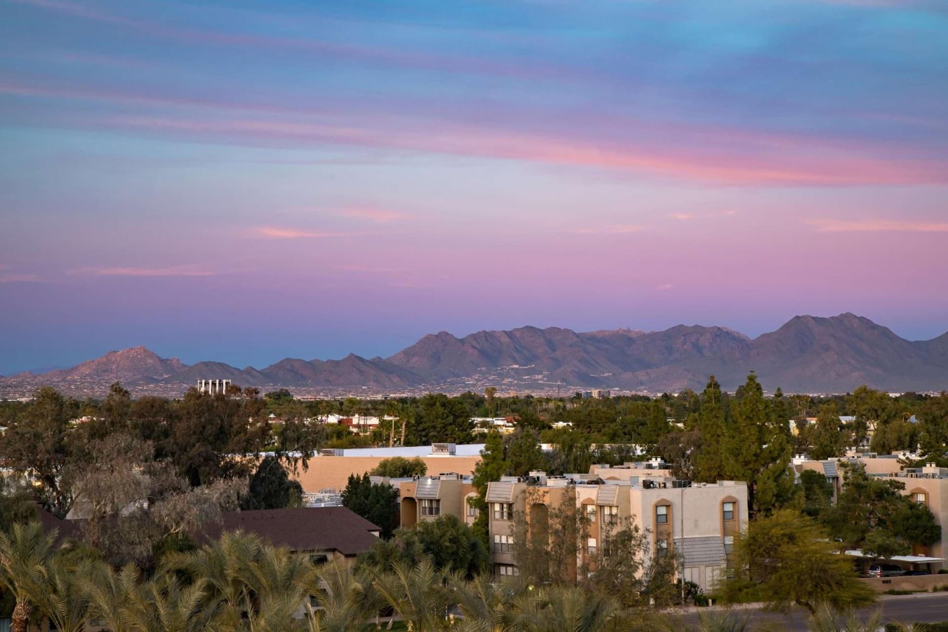 Embassy Suites by Hilton Phoenix Scottsdale gallery photo in Phoenix, AZ — image 18