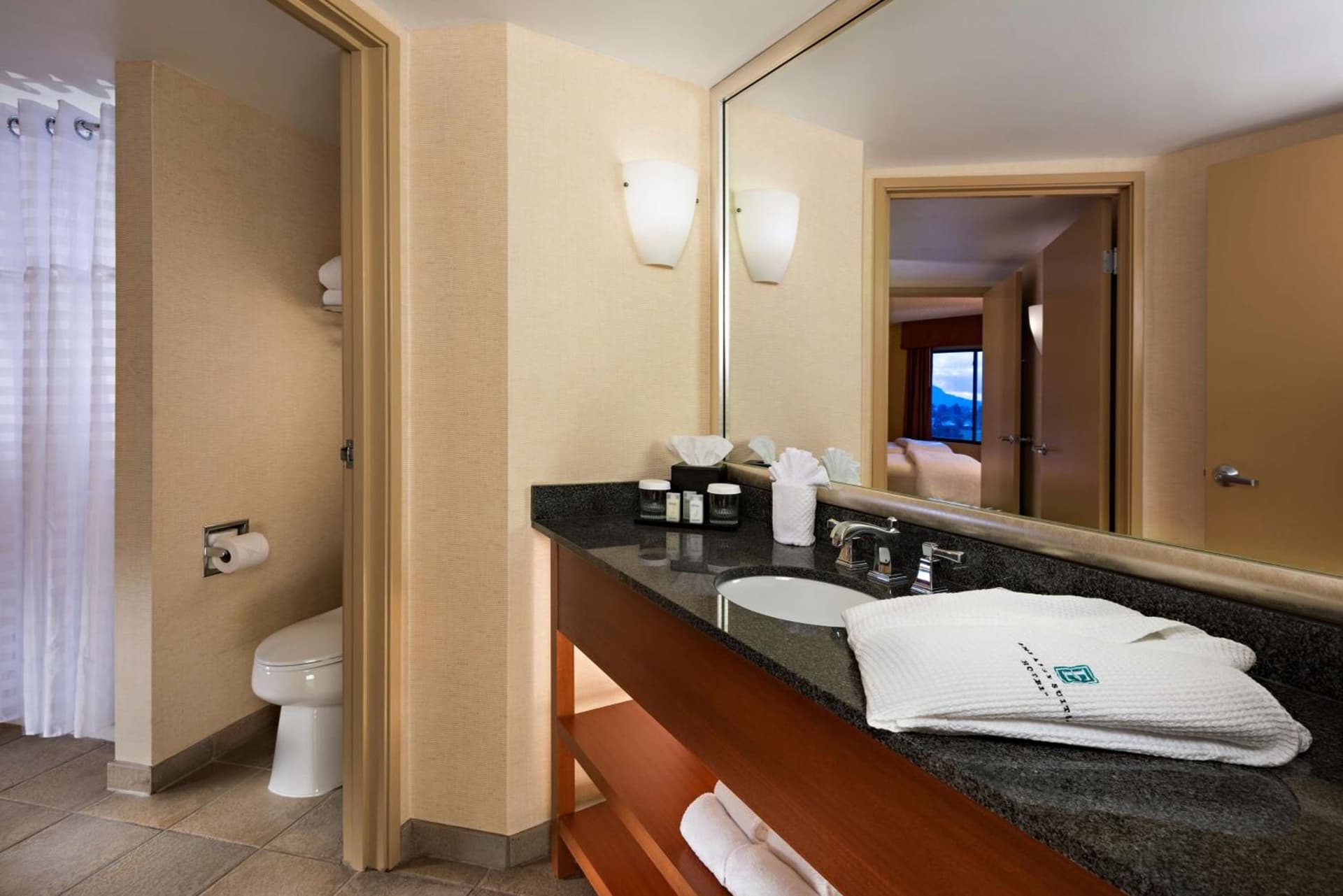 Embassy Suites by Hilton Phoenix Scottsdale gallery photo in Phoenix, AZ — image 8