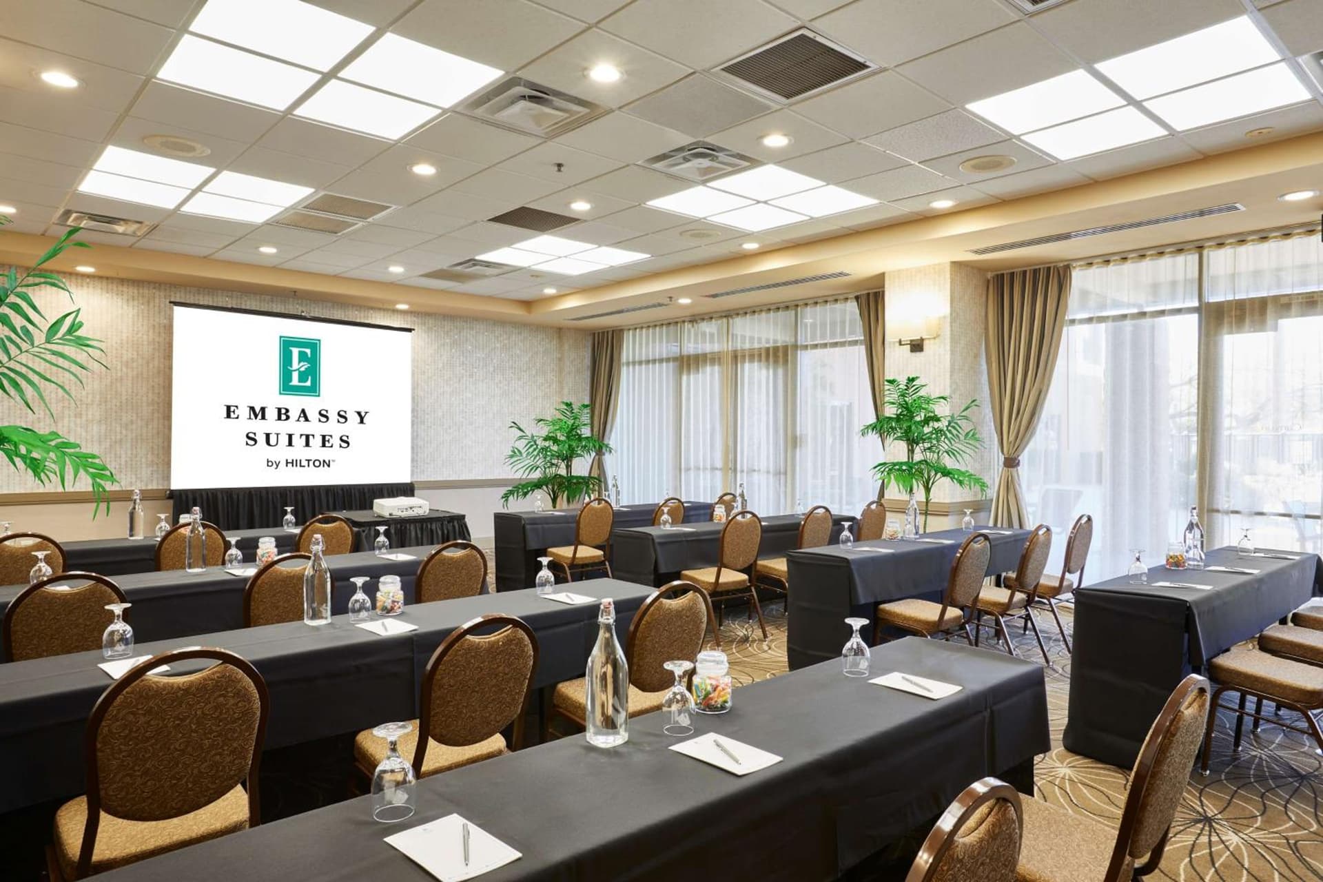 Embassy Suites by Hilton Phoenix Scottsdale gallery photo in Phoenix, AZ — image 25