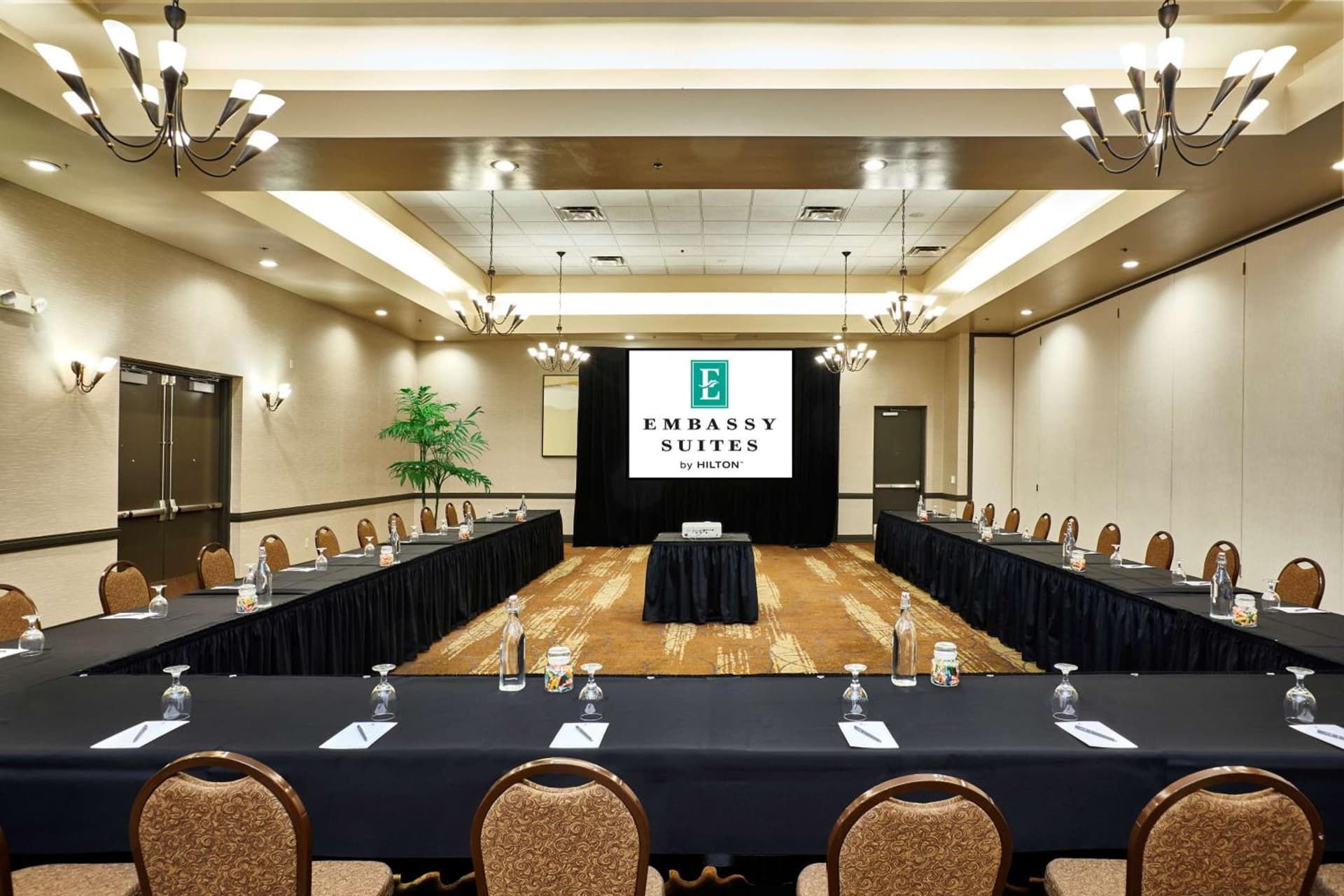 Embassy Suites by Hilton Phoenix Scottsdale gallery photo in Phoenix, AZ — image 6