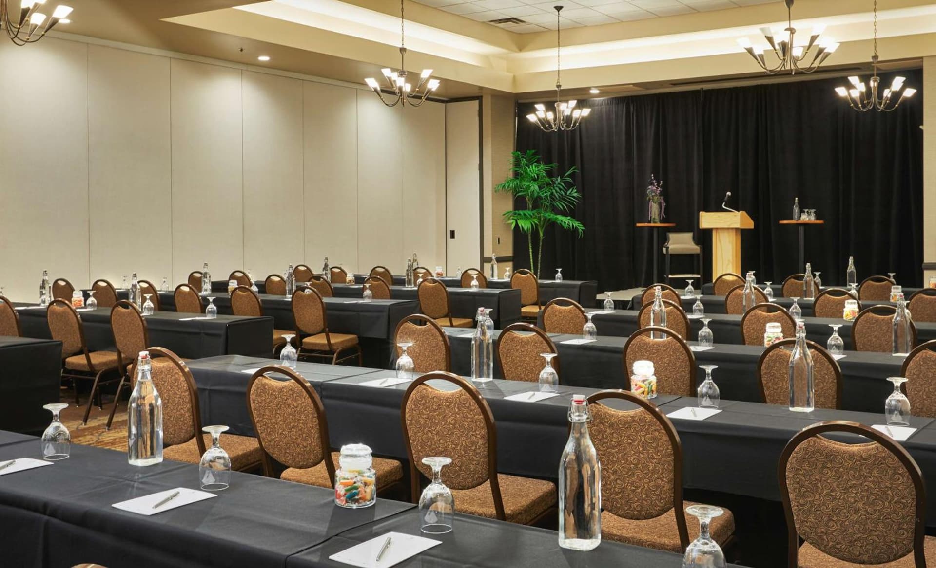 Embassy Suites by Hilton Phoenix Scottsdale gallery photo in Phoenix, AZ — image 32