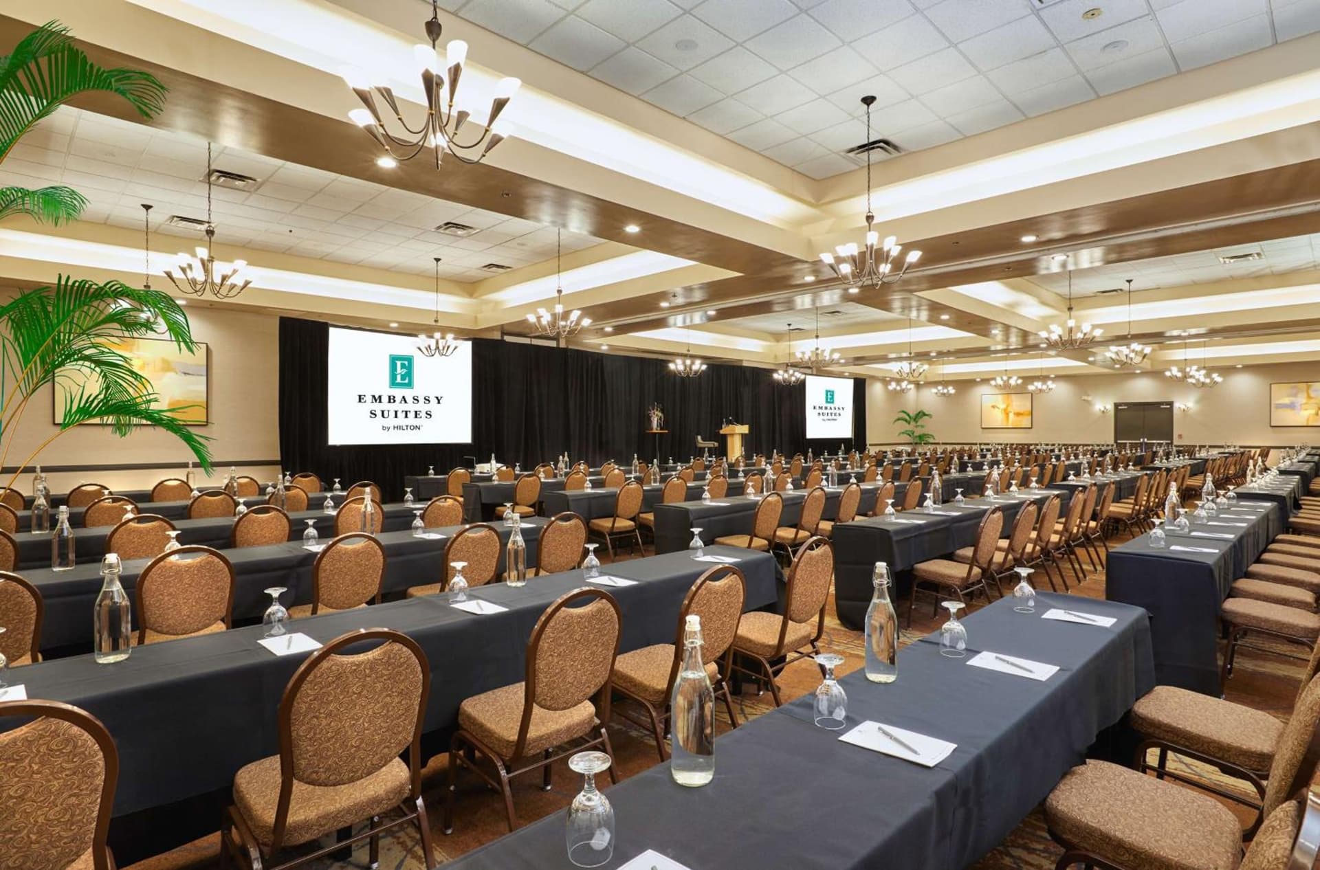 Embassy Suites by Hilton Phoenix Scottsdale gallery photo in Phoenix, AZ — image 24