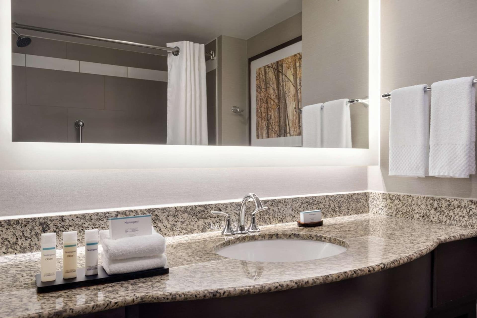 Embassy Suites by Hilton Atlanta Alpharetta gallery photo in Alpharetta, GA — image 20