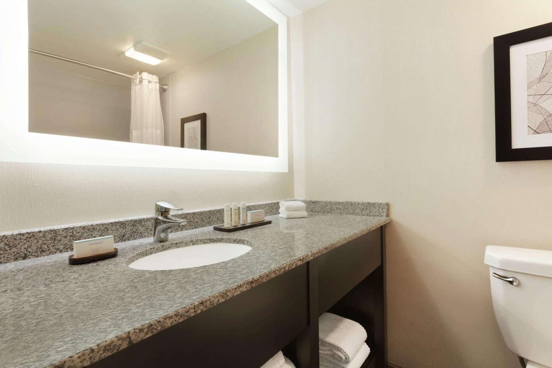 Embassy Suites by Hilton Arcadia-Pasadena Area gallery photo in Arcadia, CA — image 19