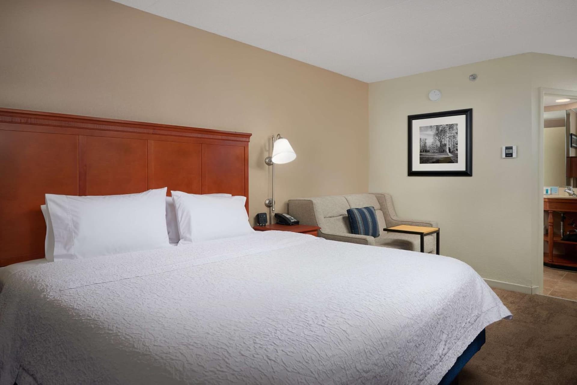 Hampton Inn Ann Arbor-South gallery photo in Ann Arbor, MI — image 42