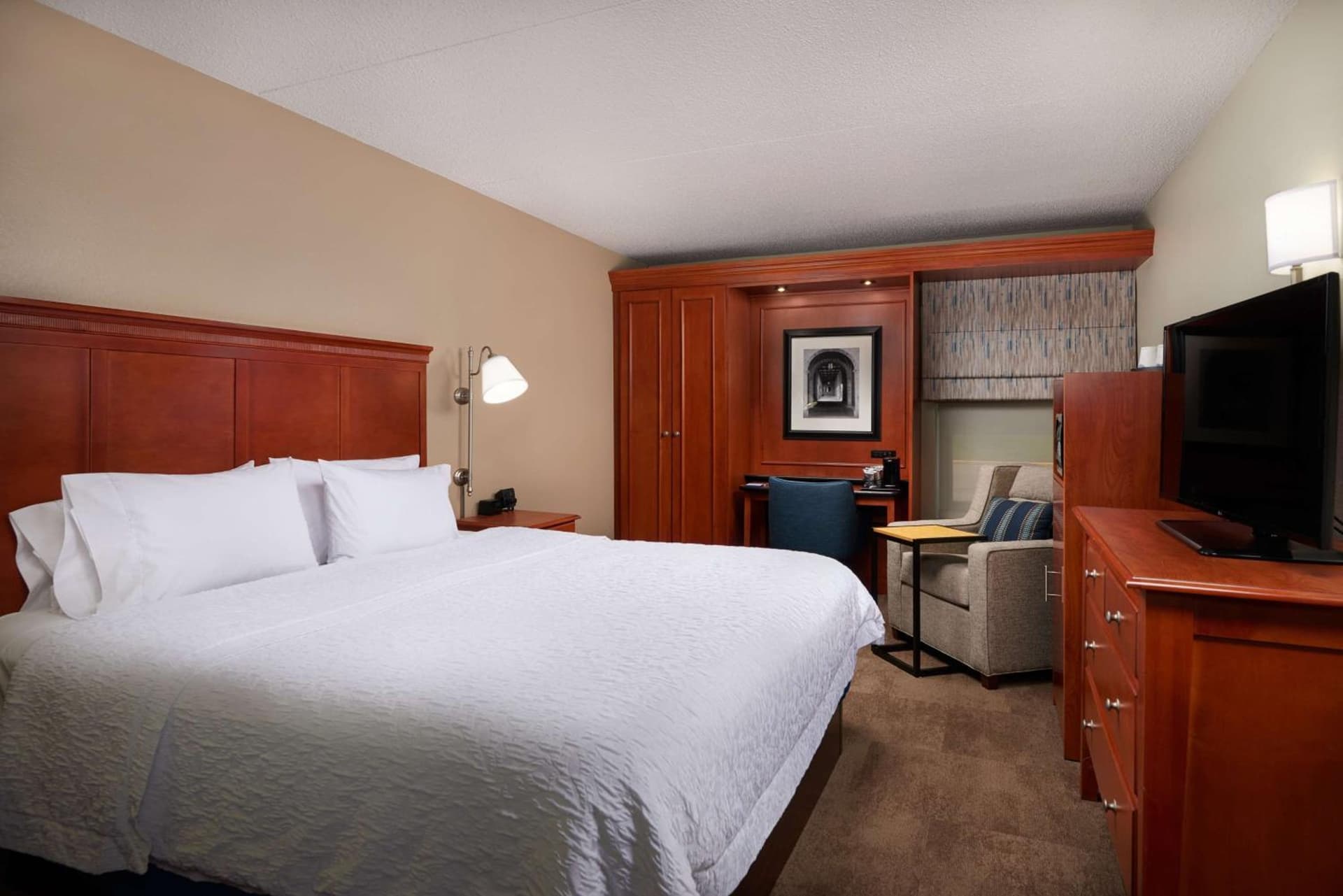 Hampton Inn Ann Arbor-South gallery photo in Ann Arbor, MI — image 13
