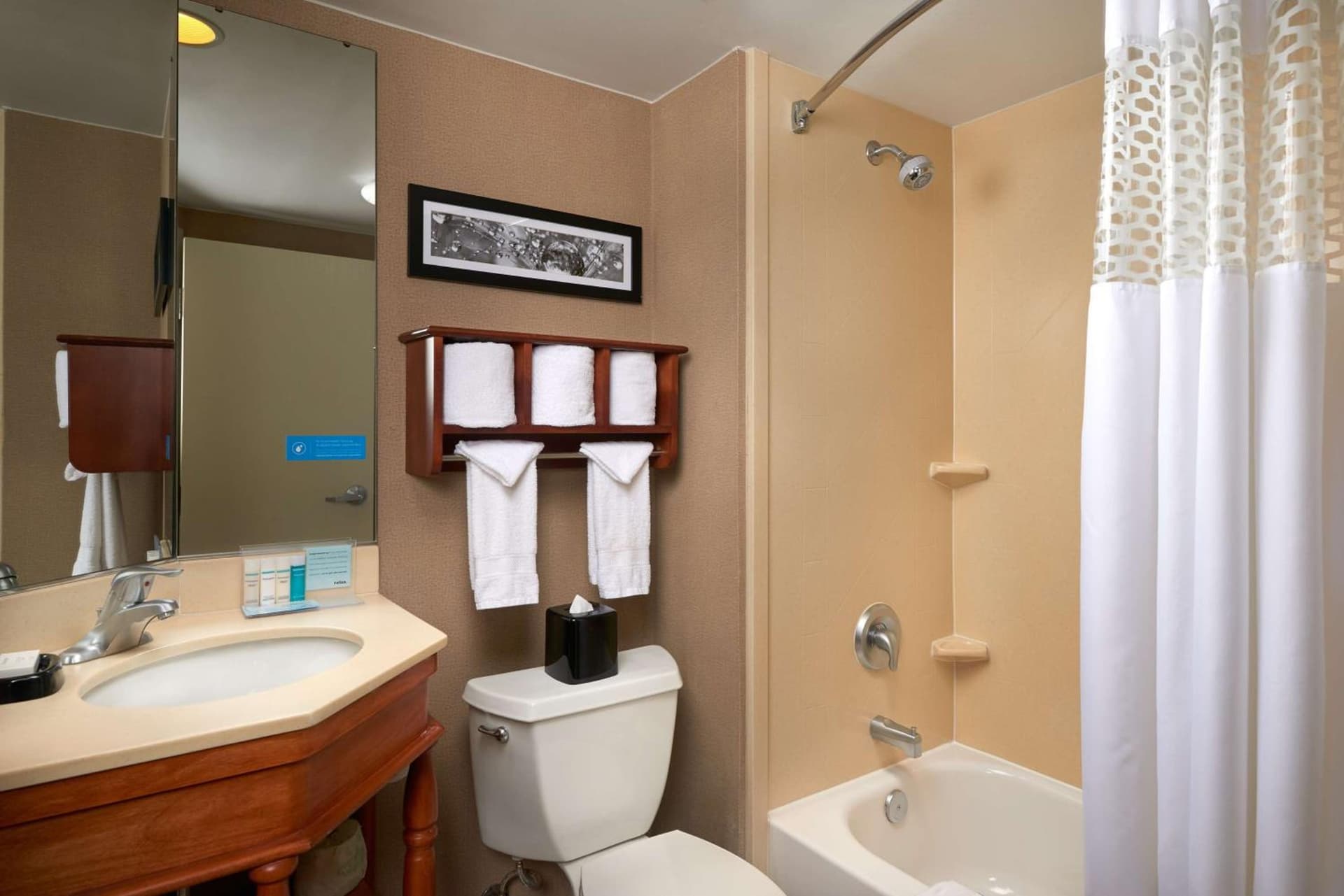 Hampton Inn Ann Arbor-South gallery photo in Ann Arbor, MI — image 11