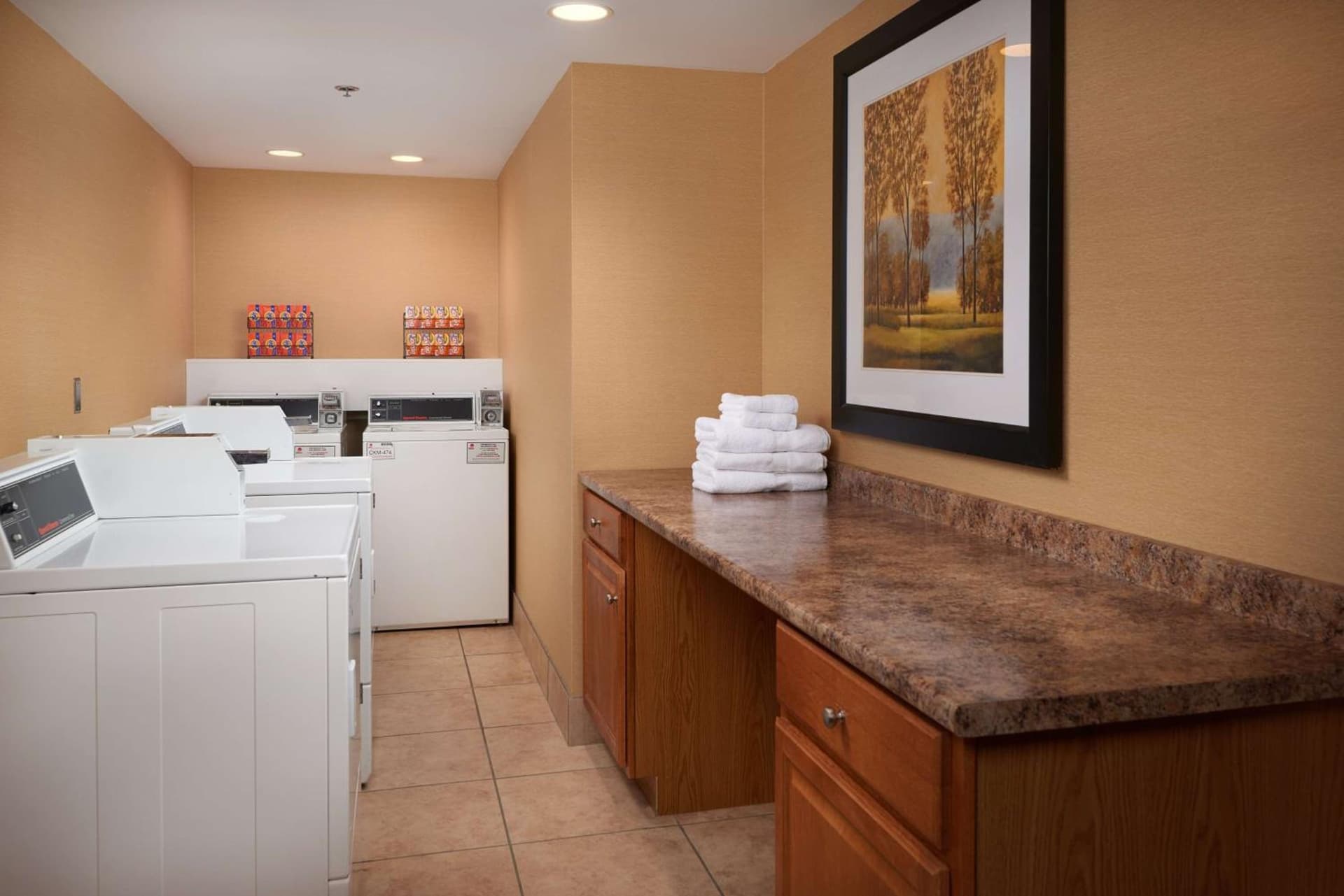 Hampton Inn Ann Arbor-South gallery photo in Ann Arbor, MI — image 25