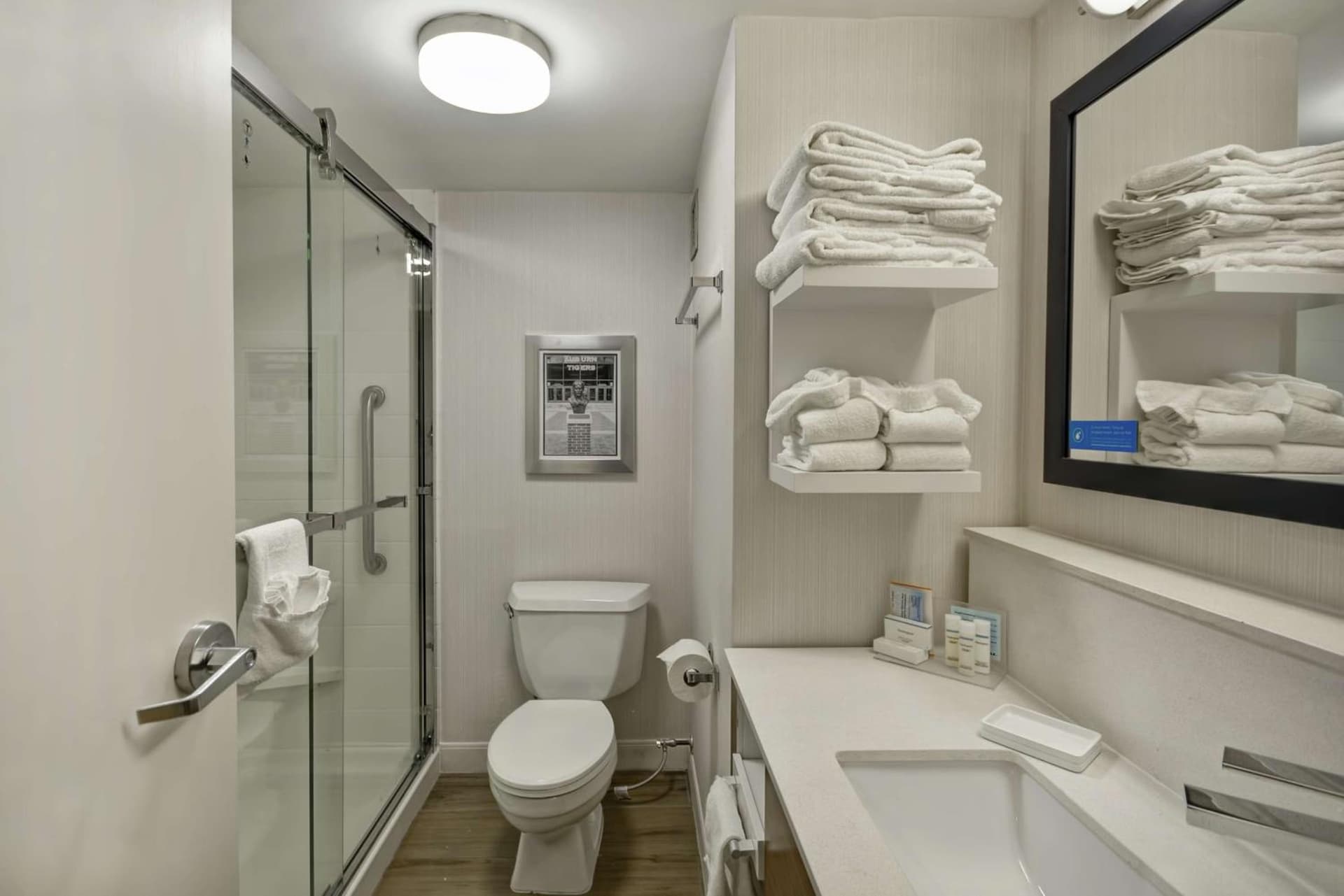 Hampton Inn Auburn gallery photo in Auburn, AL — image 44