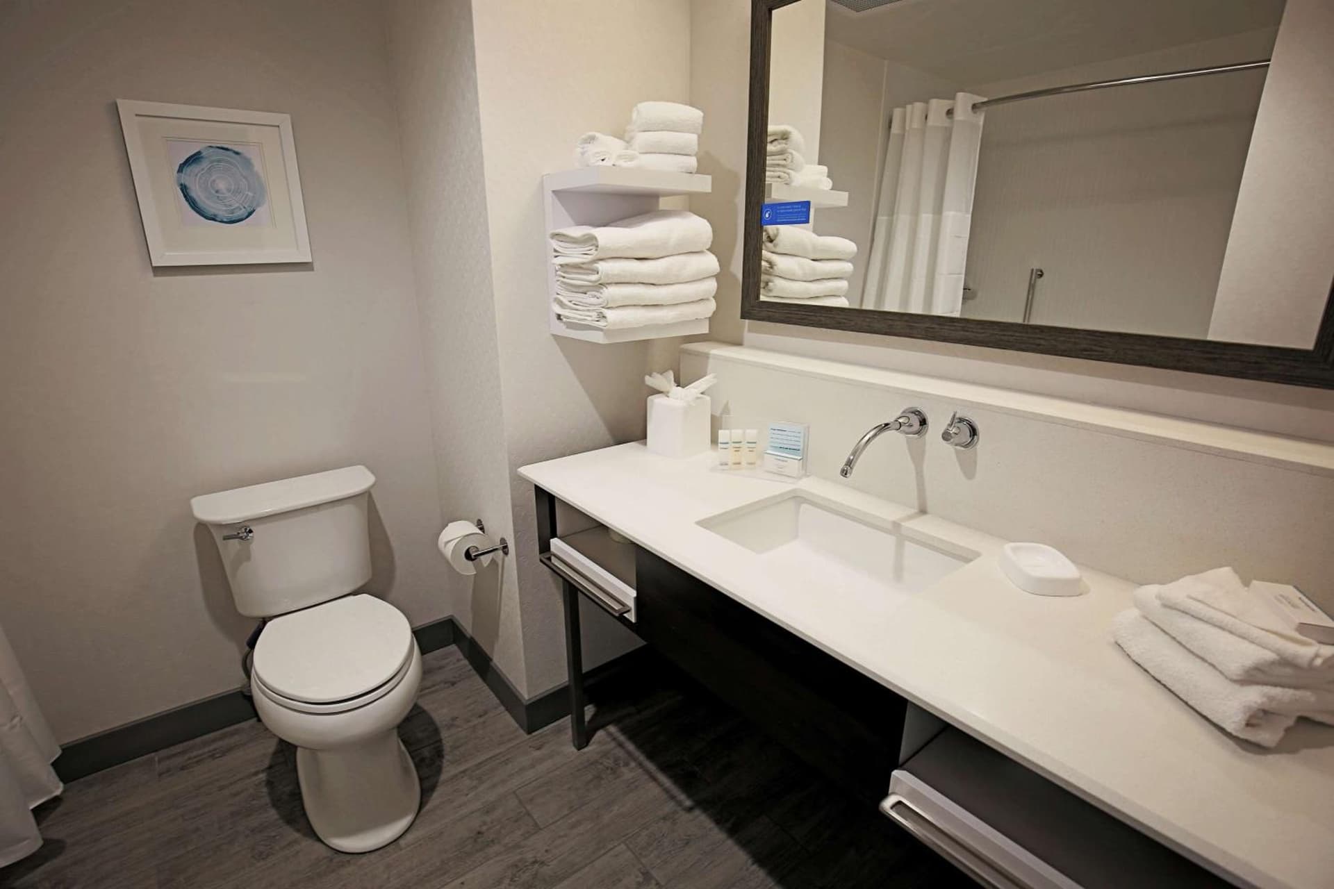 Hampton Inn & Suites Asheville Biltmore Area gallery photo in Asheville, NC — image 20