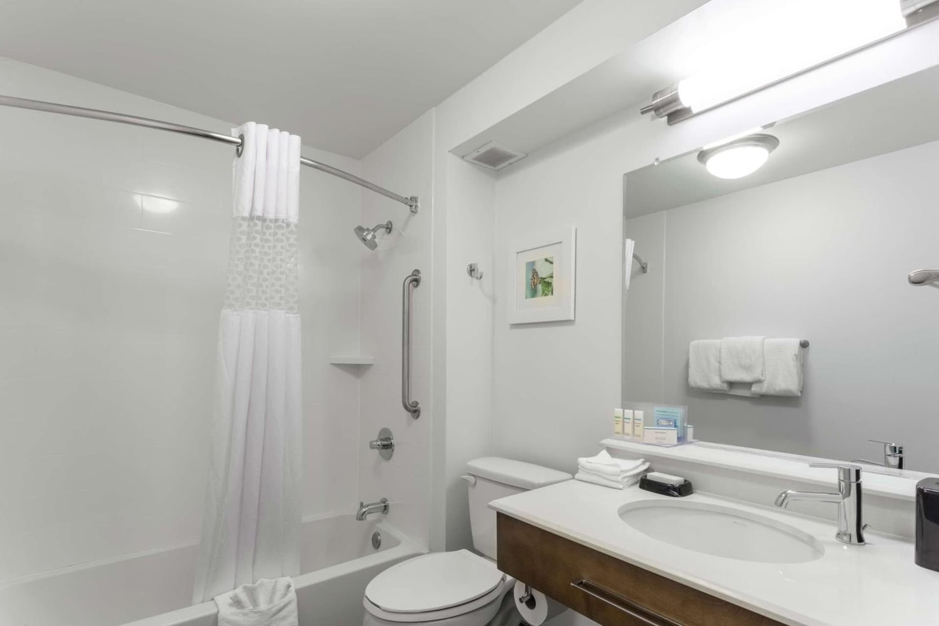 Hampton Inn Bloomington gallery photo in Bloomington, IN — image 6
