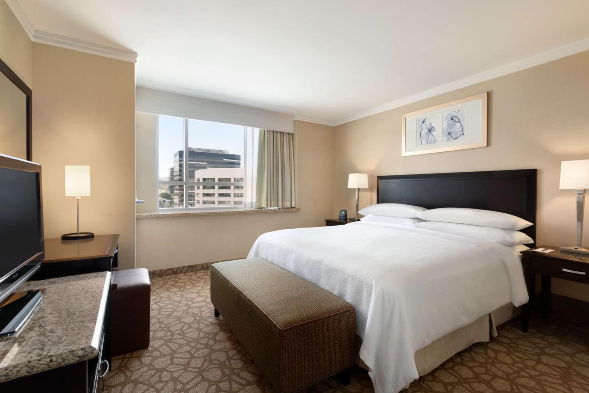 Embassy Suites Los Angeles Glendale gallery photo in Glendale, CA — image 21