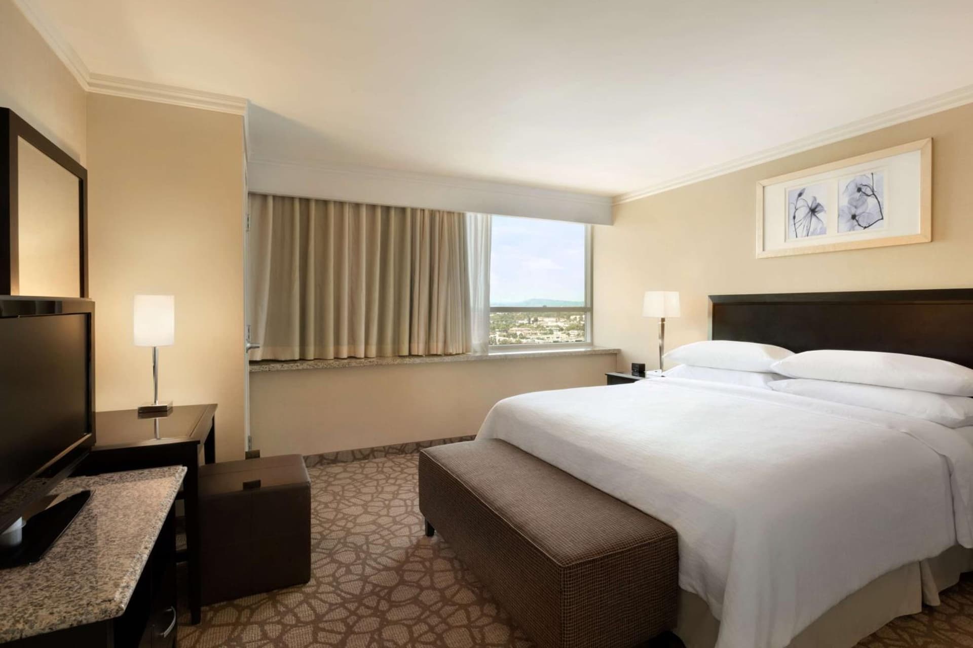 Embassy Suites Los Angeles Glendale property views in Glendale, CA — gallery photo 3