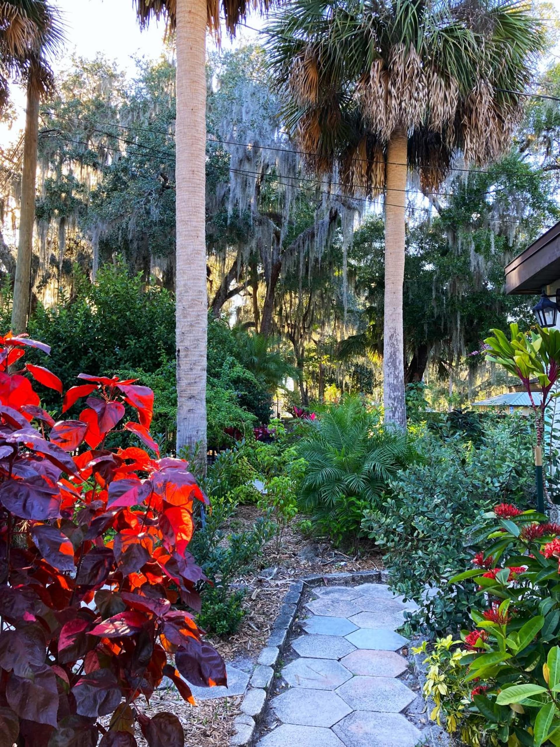 Retreat at Crystal Manatee gallery photo in Crystal River, FL — image 25