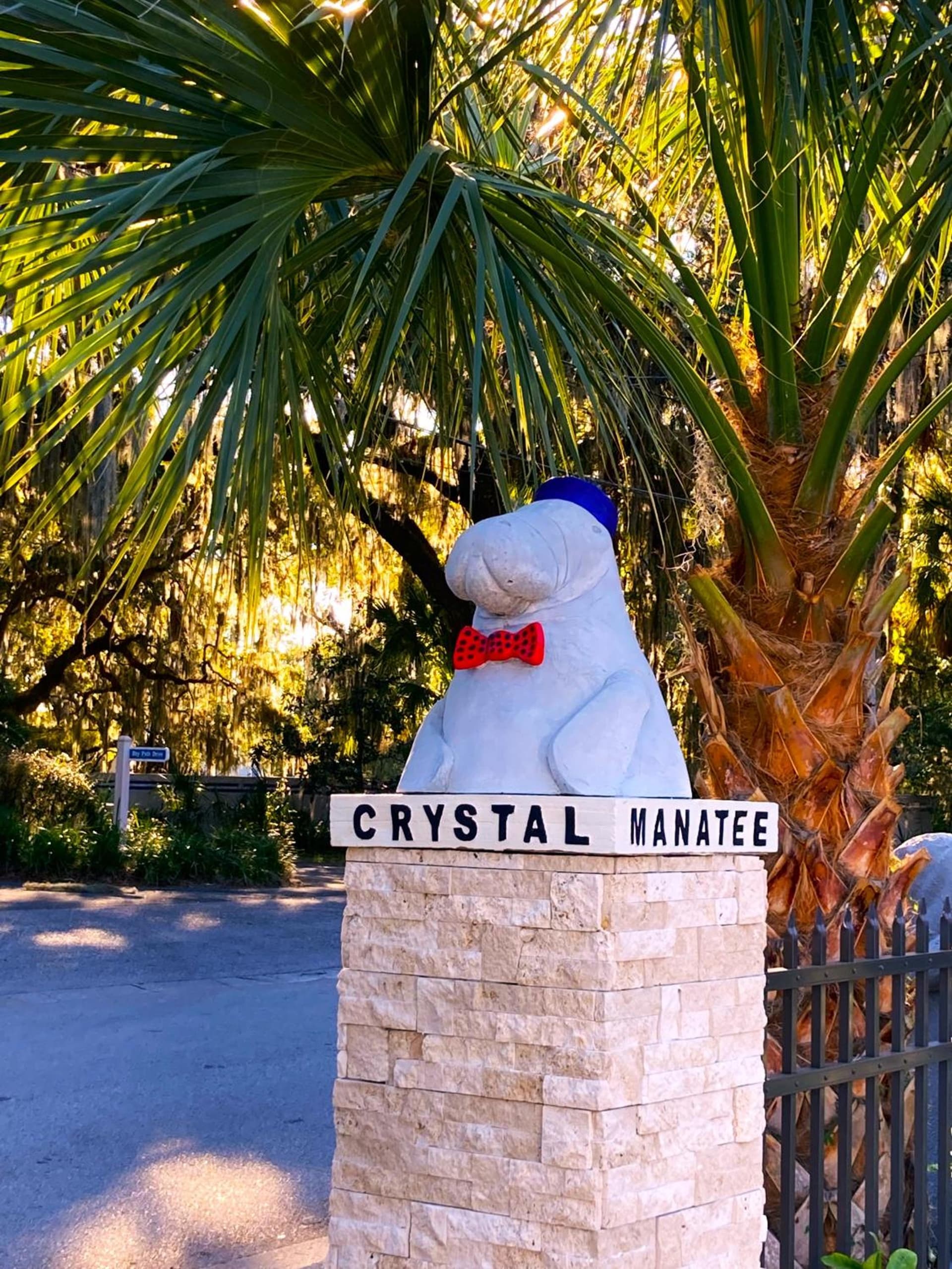 Retreat at Crystal Manatee gallery photo in Crystal River, FL — image 7