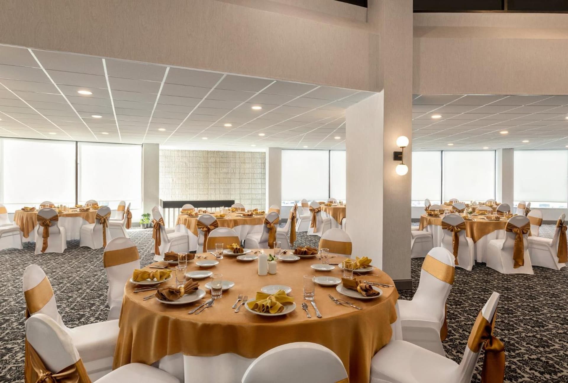 Holiday Inn Philadelphia Arpt-Stadium Area by IHG gallery photo in Philadelphia, PA — image 7