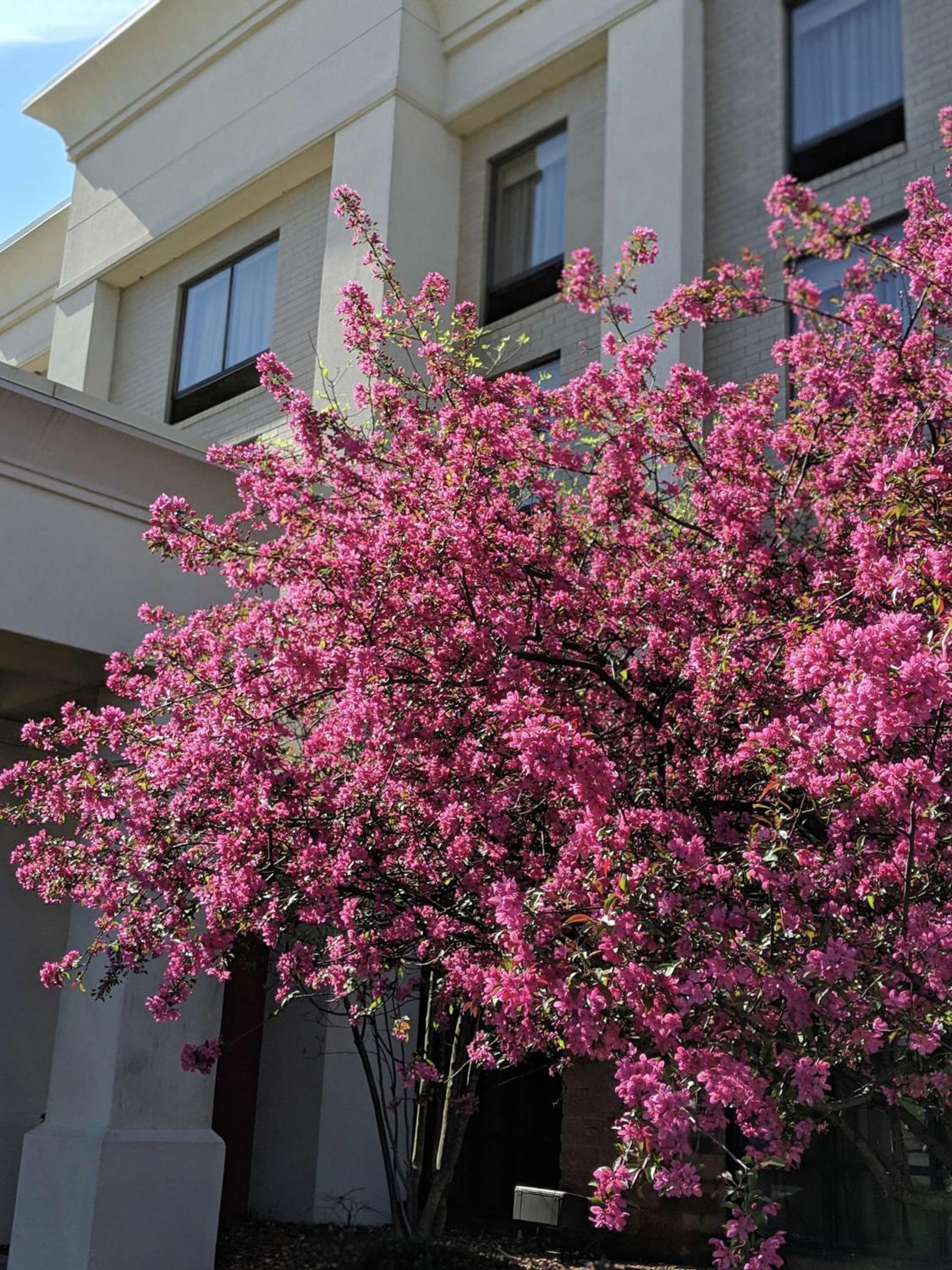 Hampton Inn & Suites Cincinnati-Union Centre featured exterior or lobby in West Chester, OH — similar hotel