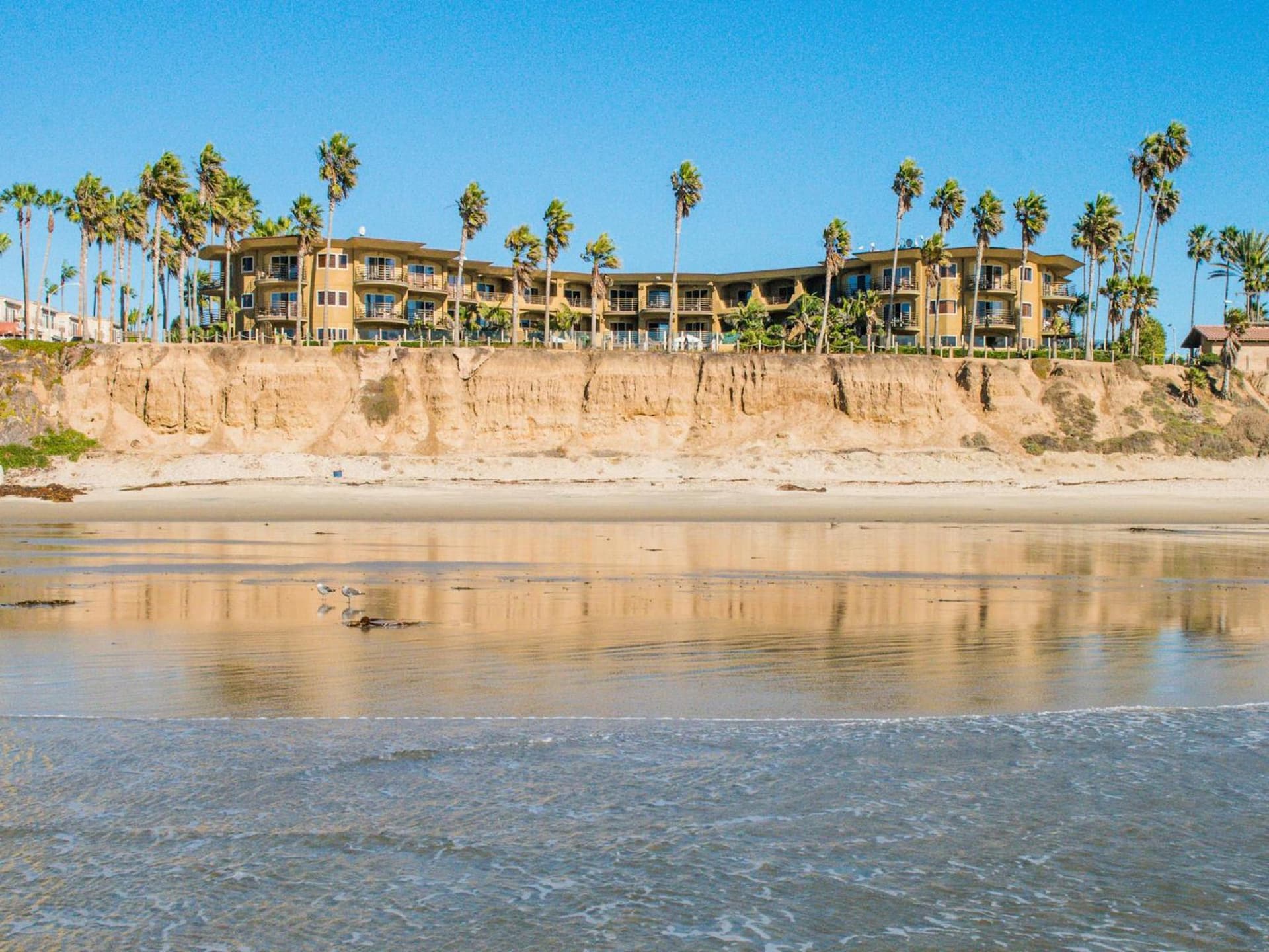 Pacific Terrace Hotel gallery photo in San Diego, CA — image 47